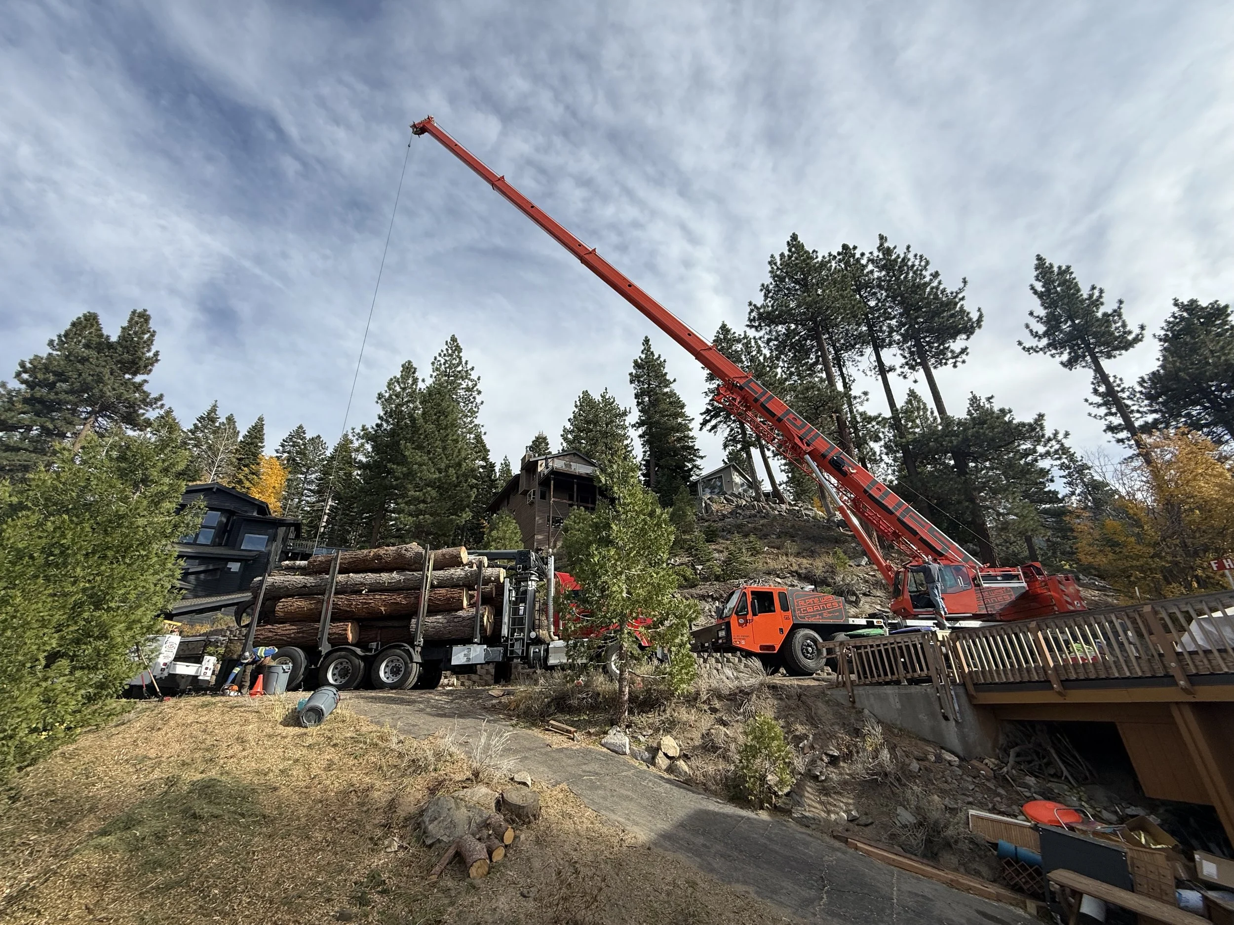 A red crane lifting debris or materials on a hillside next to parked trucks with logs, surrounded by trees and houses.