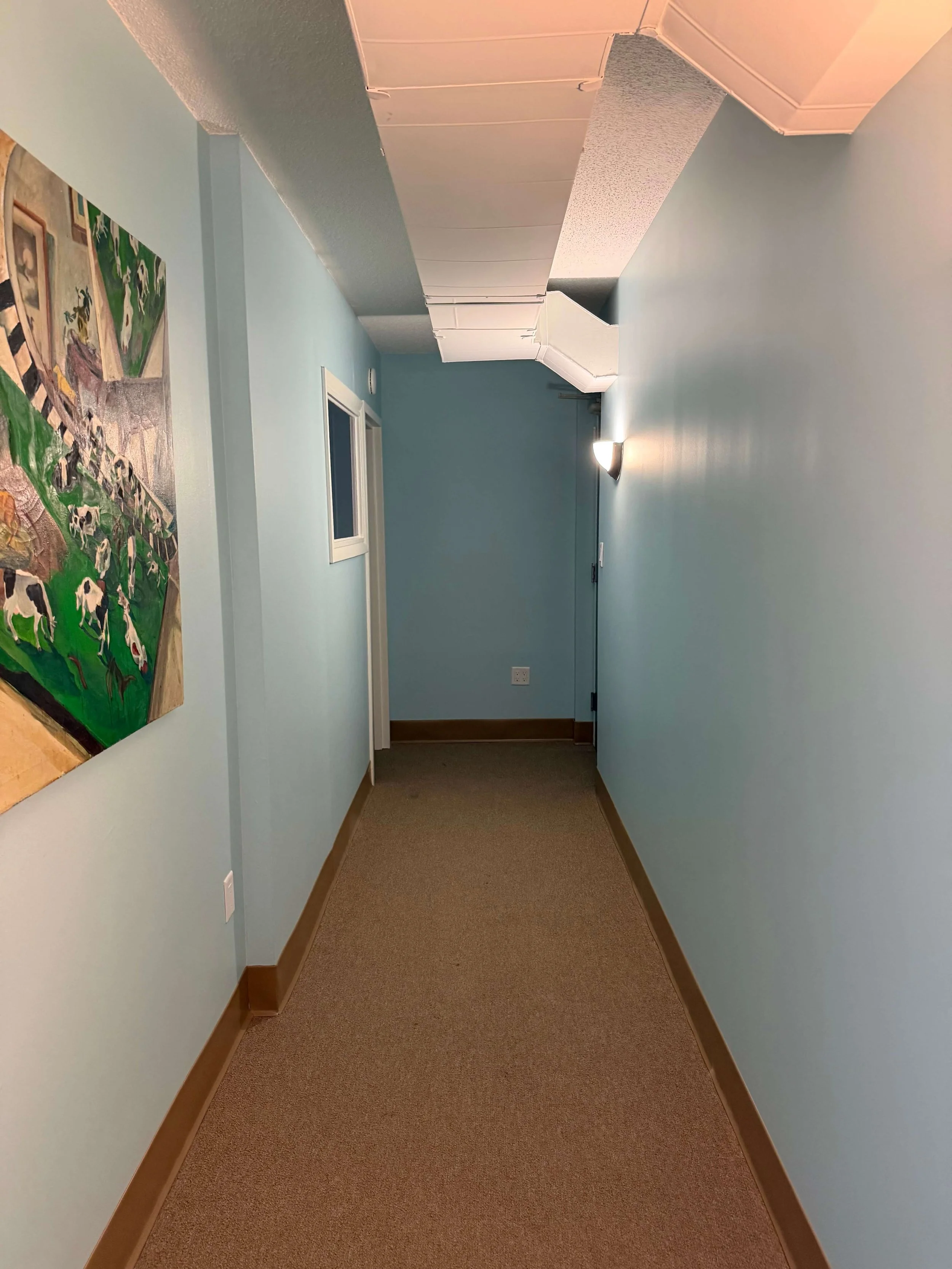 A hallway with light blue walls, brown baseboards, a beige carpet, a small window, and a painting on the left wall. There is a ceiling light illuminating the corridor.