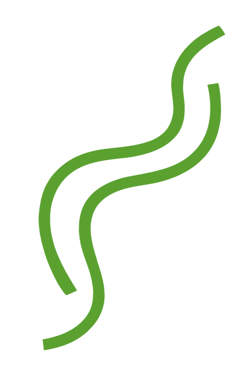 Two green wavy lines on a white background, resembling abstract paths or roads.