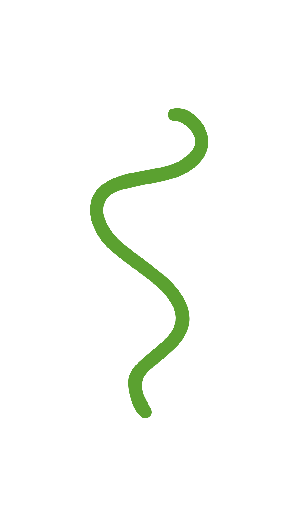 A green, wavy line on a white background.