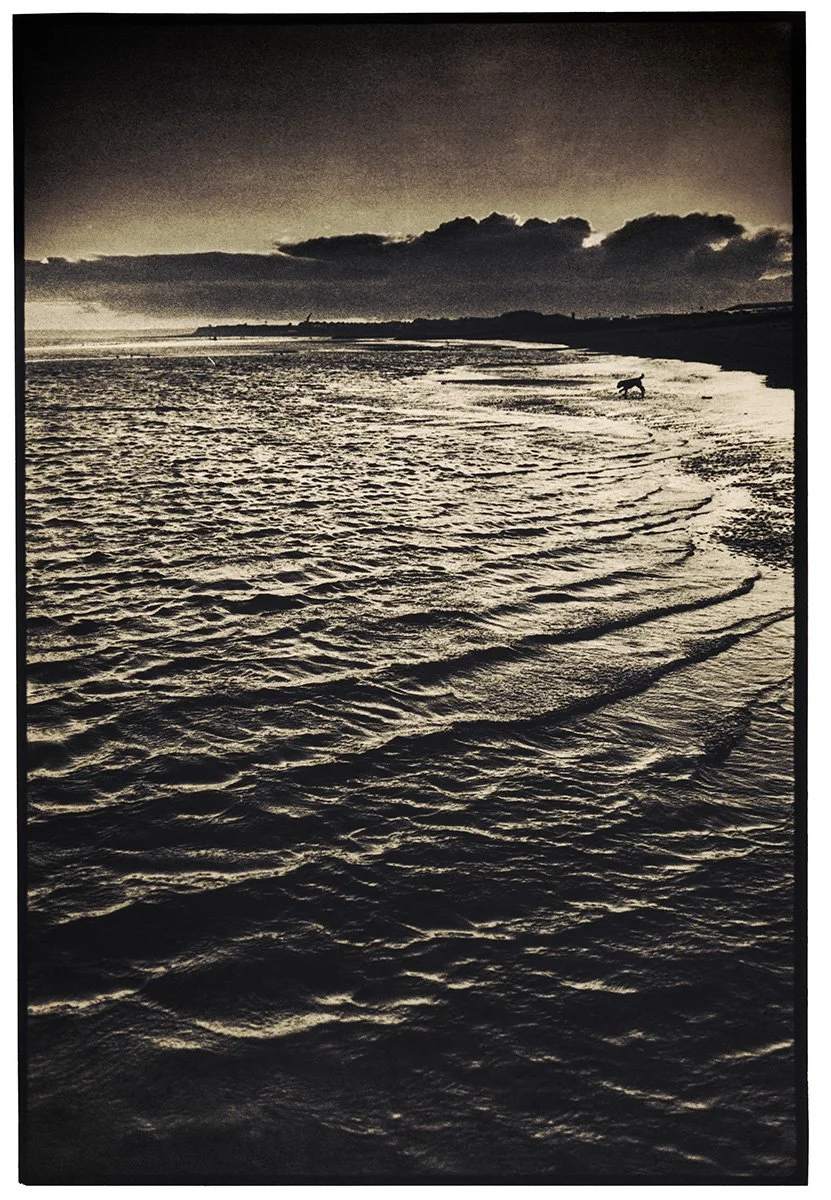 Bulverhythe Low tide sun beam dog 01 Lith.jpg