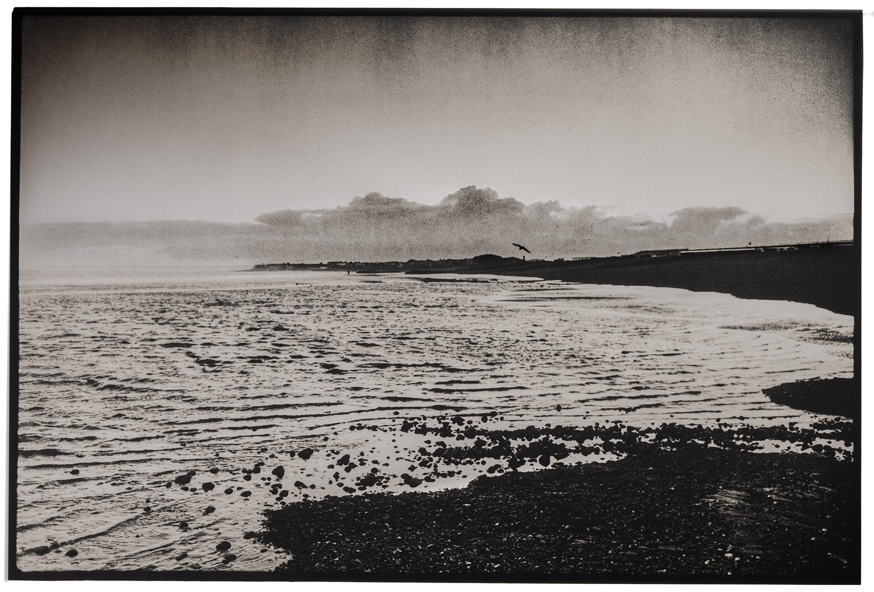 Bulverhythe Low tide Gull pebbles cloud Lith.jpg