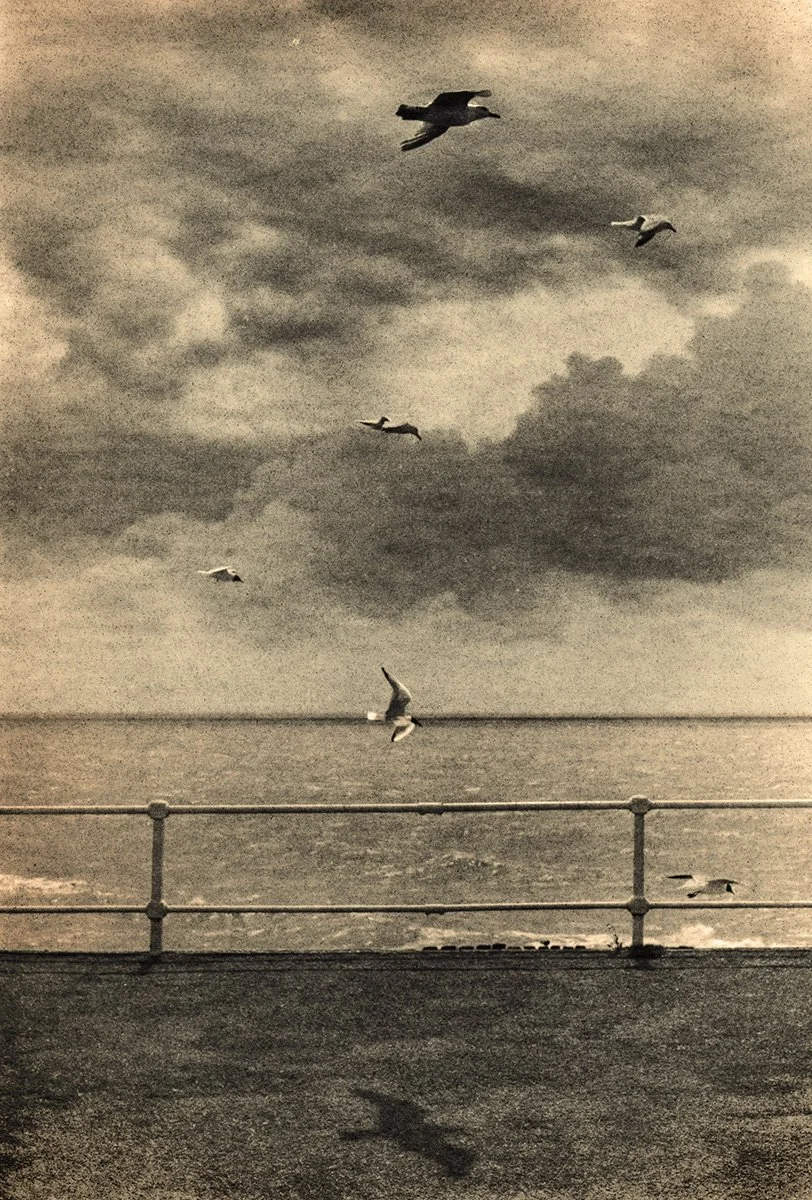 Hanging Gulls Shadow St Leonards Lith Print Aug 2025.jpg