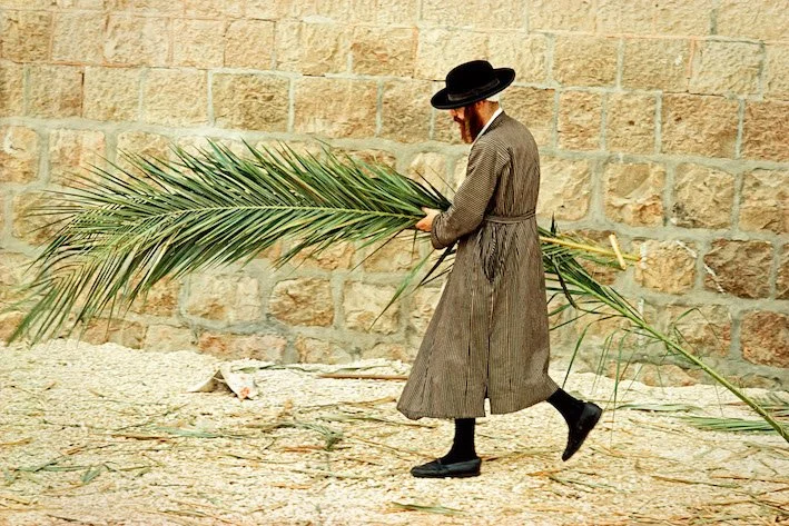Amos Schliack, Sukkot, Mea Shearim, Jerusalem, GEO Magazin 1978 Fotografie: Ein orthodoxer Jude trägt im Jerusalmer Viertel Mea Shearim Palmwedel vor einer hellen Steinmauer vorbei
