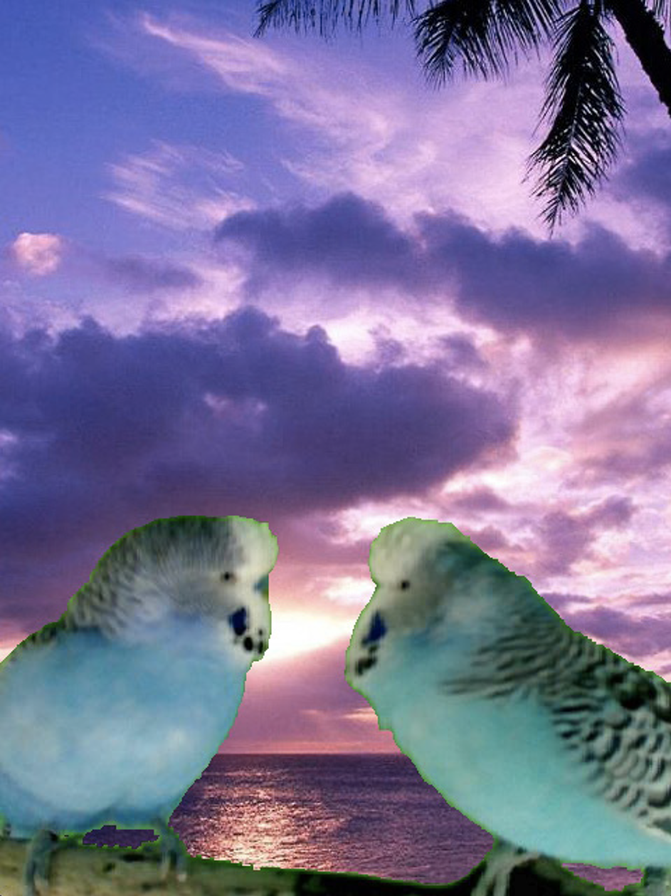 Sebastian Neubauer, 2012  Auflage 3+1  FineArt Pigment Druck,   nummeriert, signiert  15 x 20 cm