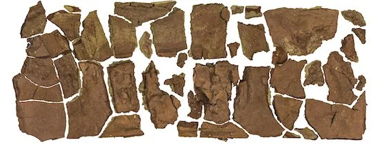 DESIREE DING 记忆 Memo, 2016, 125 x 325 cm, digital print on aluminum