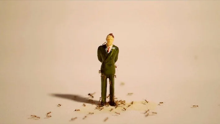 Fadi al Hamwi Artificial Sugar, 2014  Ed. of 3  Videoloop, 2:40 min