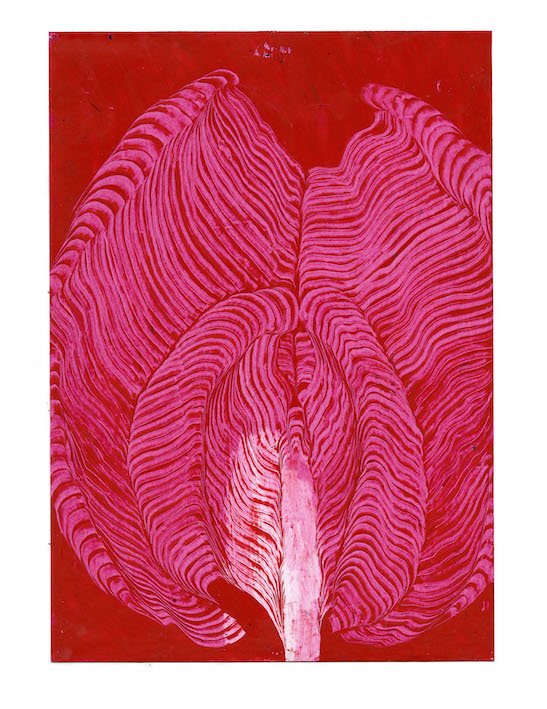 BIRGIT BRANDIS wicke, 2020 aus der Serie Herbarium 42 x 32 cm Ölkreide auf Papier