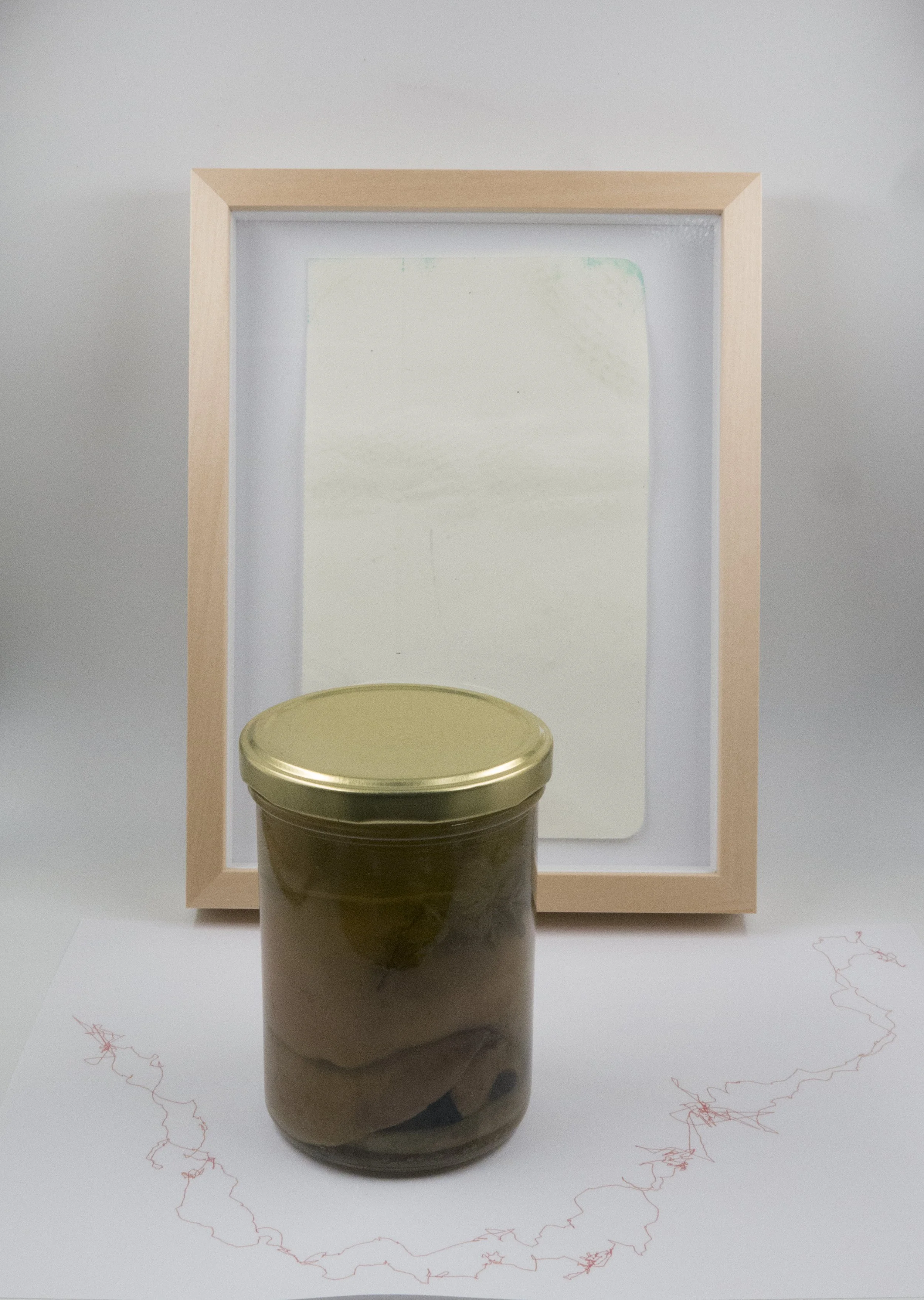 Ben Nurgenç, SMRDAN 1, 2023  Teil von Mycelium Works mit Ulf Beck  Schraubgläser, Pilze, bedrucktes Papier, Frottage in Objektrahmen