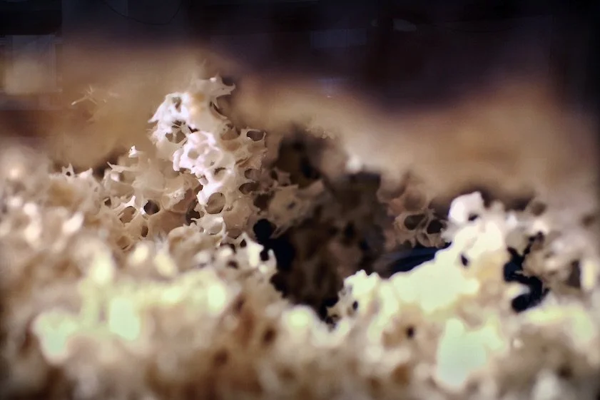 Sylvia Henze, ZEIT | EN, 2012  1/3 + 2 AP  Fotoleuchtbox  70 x 138 x 50 cm