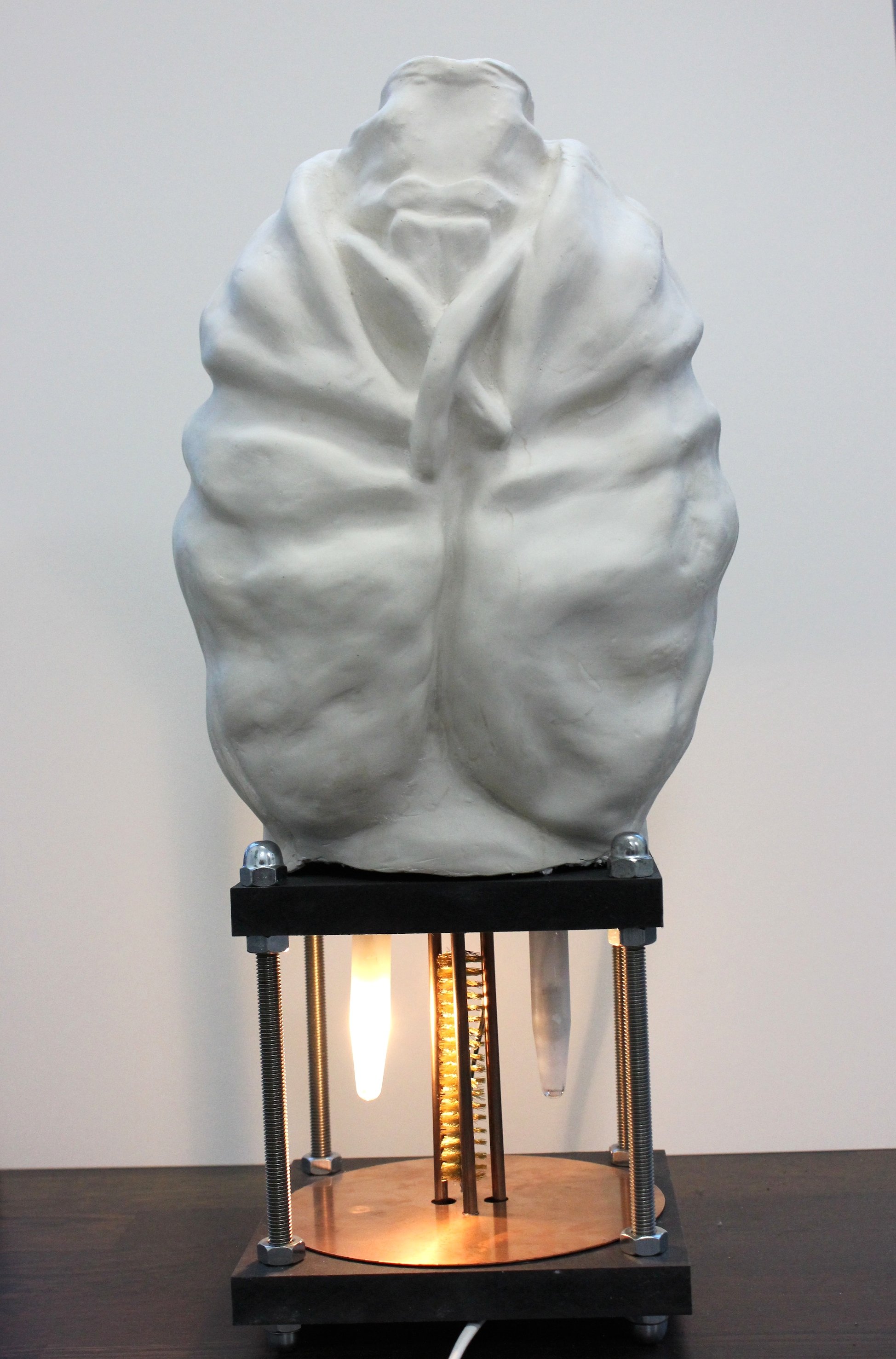 Kathrin Haeßengier, Dr. Williams, Edition (1/3), 2014  Metall, Holz, Glas, Acrylamit, Glühbirnen, Motor 54 x 24 x 21 cm