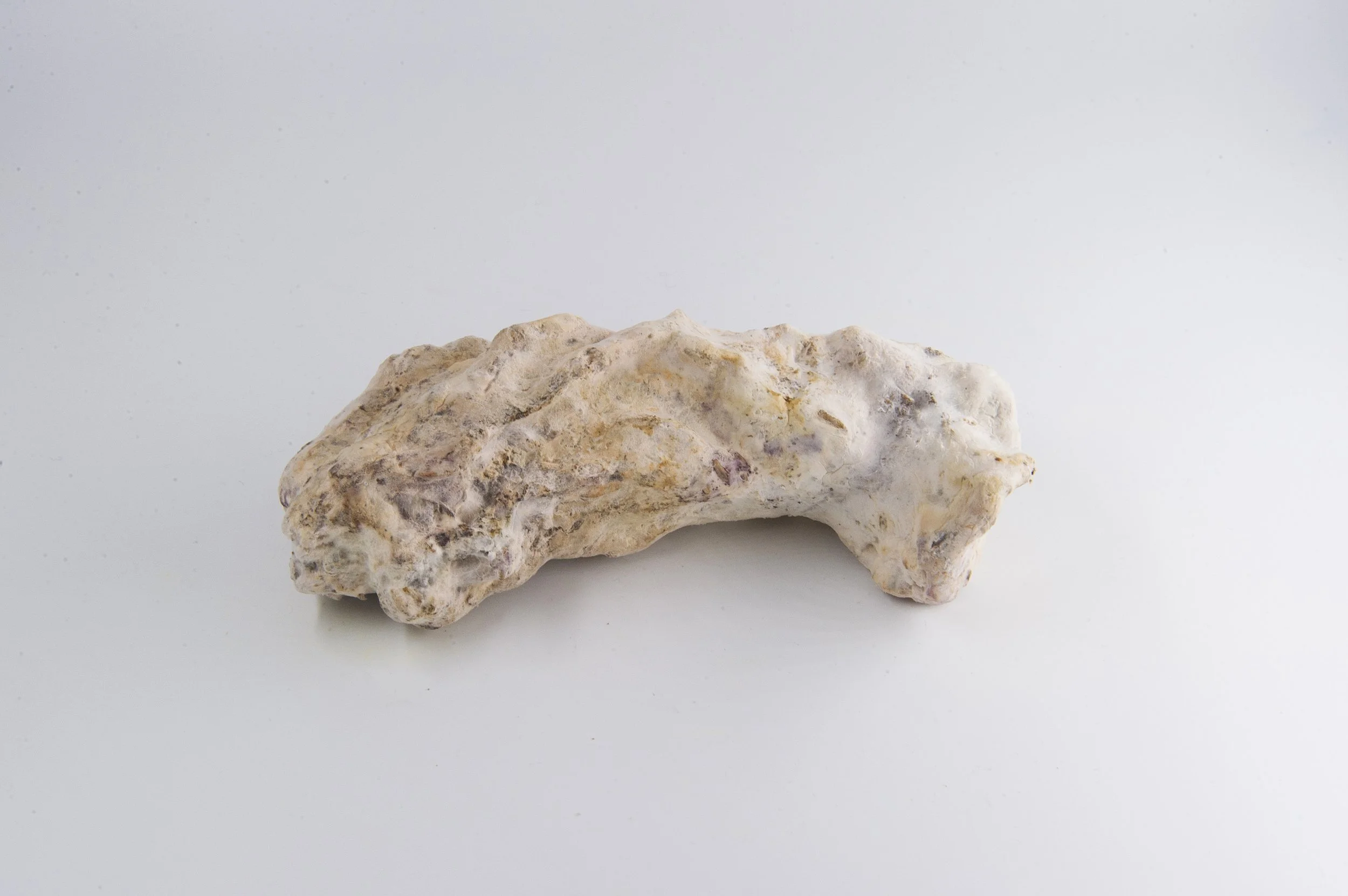 Ben Nurgenç, 16/10.2.47, 2021,  11 x 4,5 x 4,5 cm Pilzmyzel