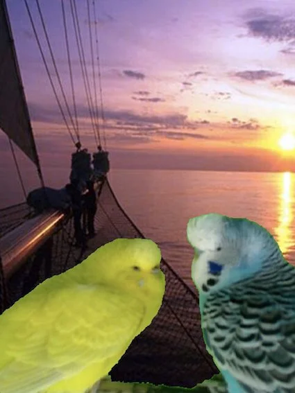 Sebastian Neubauer  longing birds, 2012  Auflage 3+1  FineArt Pigment Druck,   nummeriert, signiert  15 x 20 cm - Boot