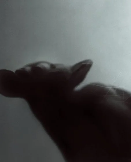 Svenja Wassill  hi, 2018  Fotografie, Unikat Großformatdruck, Schattenfugenrahmen  140 cm x 120 cm