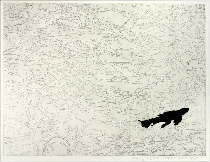 Simon Halfmeyer wall drawing Belgrad - Radierung einer Wandzeichnung in Belgrad - Wasserreflexe und Fisch