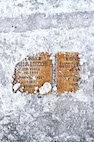 Amos Schliack, Stolpersteine, Hartungstraße 20 - Fotografie der Stolpersteine nach einem Schneefall