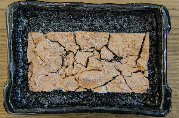 DESIREE DING specimen, 2020, 17 x 10 cm, clay, ink, ceramic