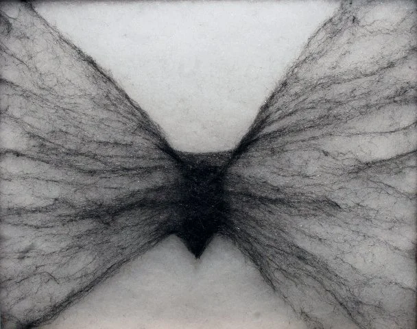 Kathrin Haeßengier, o.T., Orgoan-Serie, 2014 Stahlwolle, Vlies, Papier 32x 23 cm