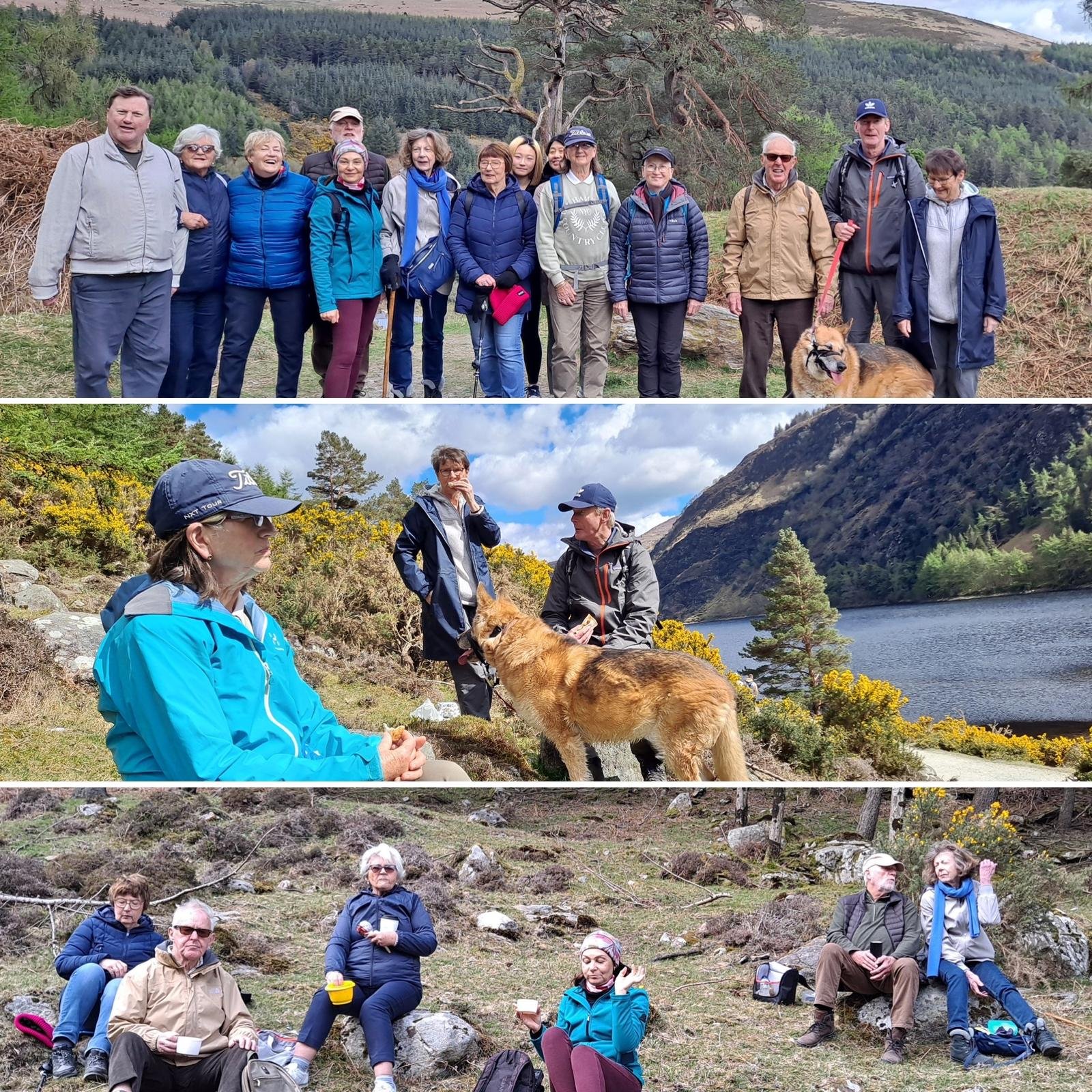 Evergreen Walking Group - lost in ?????