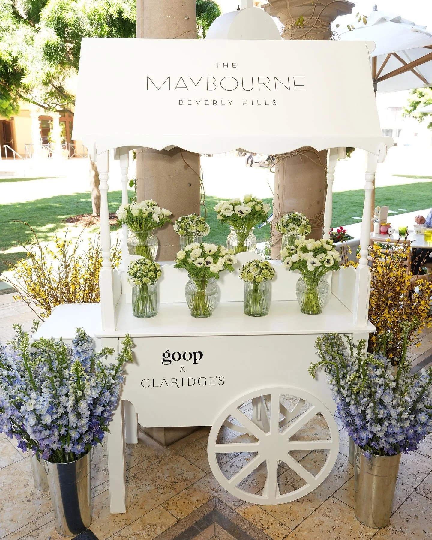 themaybournebh_1680480000_3072329675167367847_29208741900_2.jpg