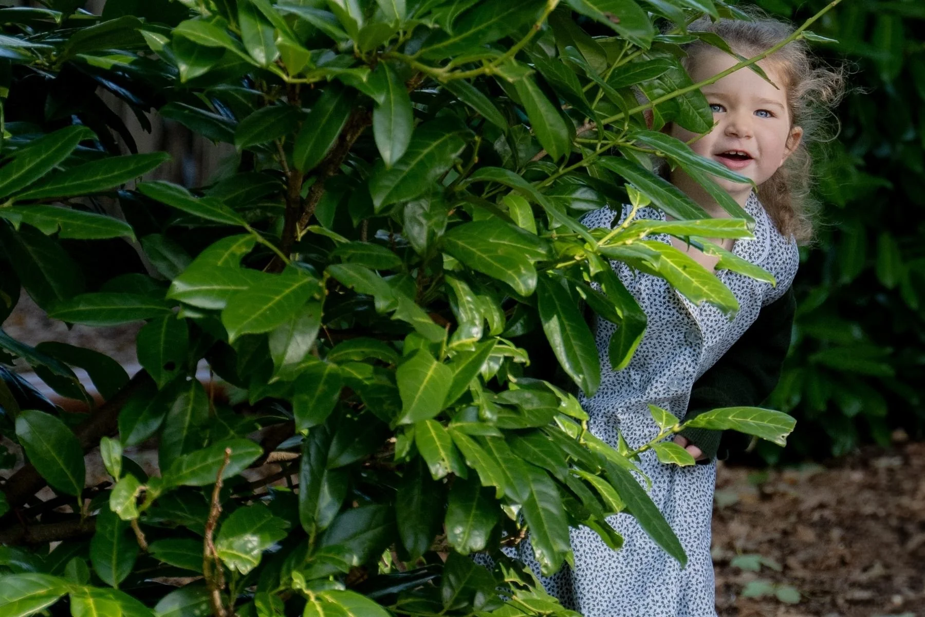 98  Yarrells School and Nursery 3:2.jpg