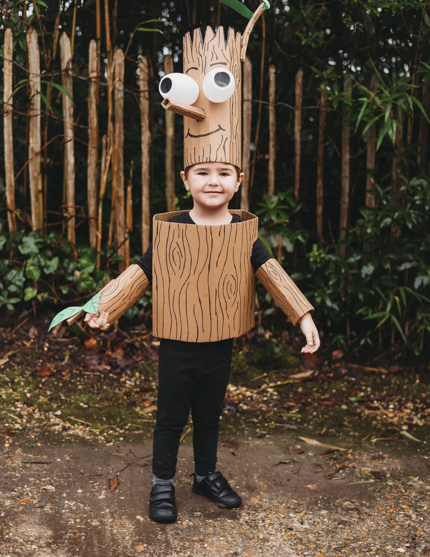 YARRELLS Nursery File 15.jpg