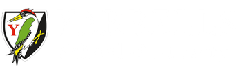 Yarrells School &amp; Nursery