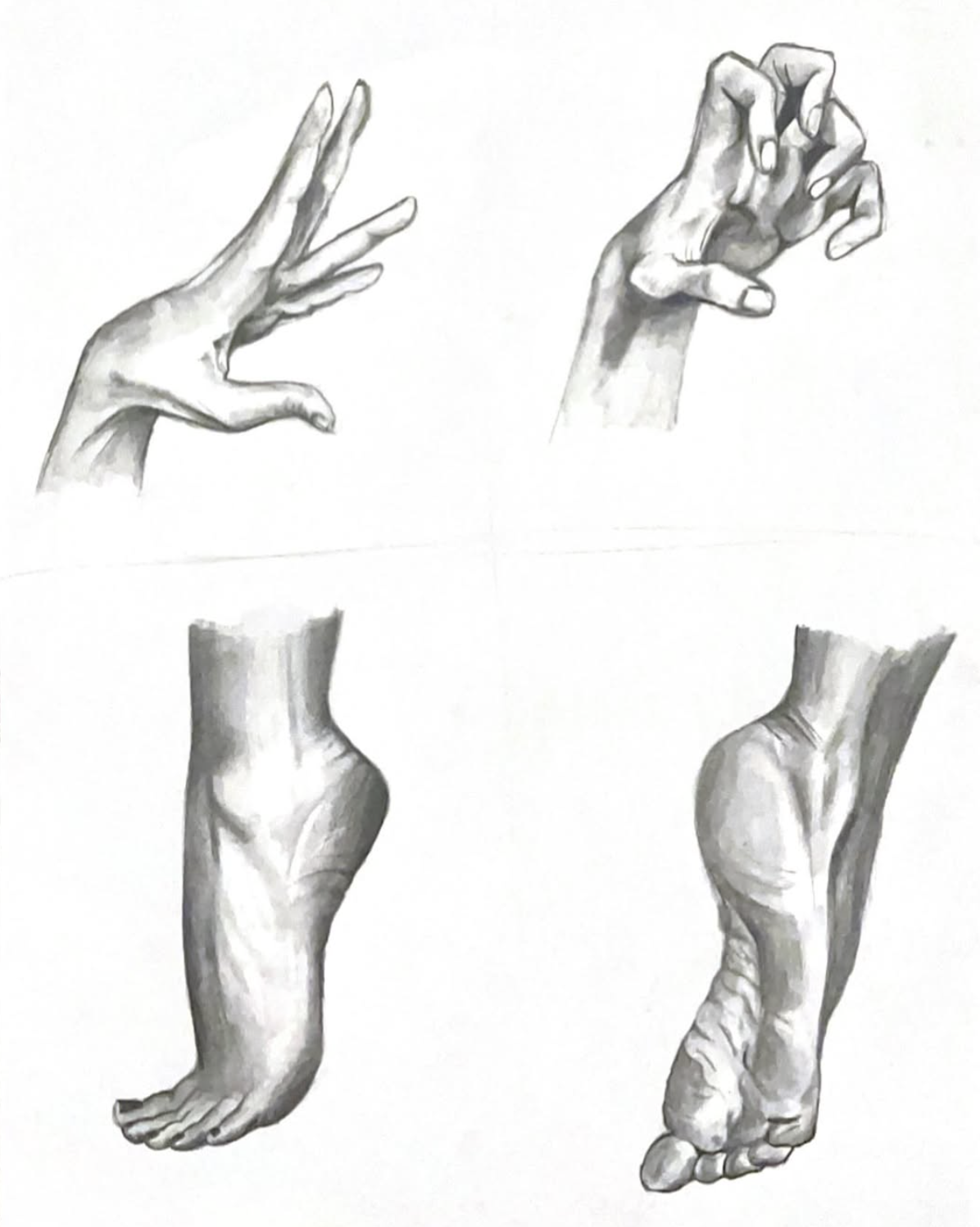 Hands and Feet studies. 2024