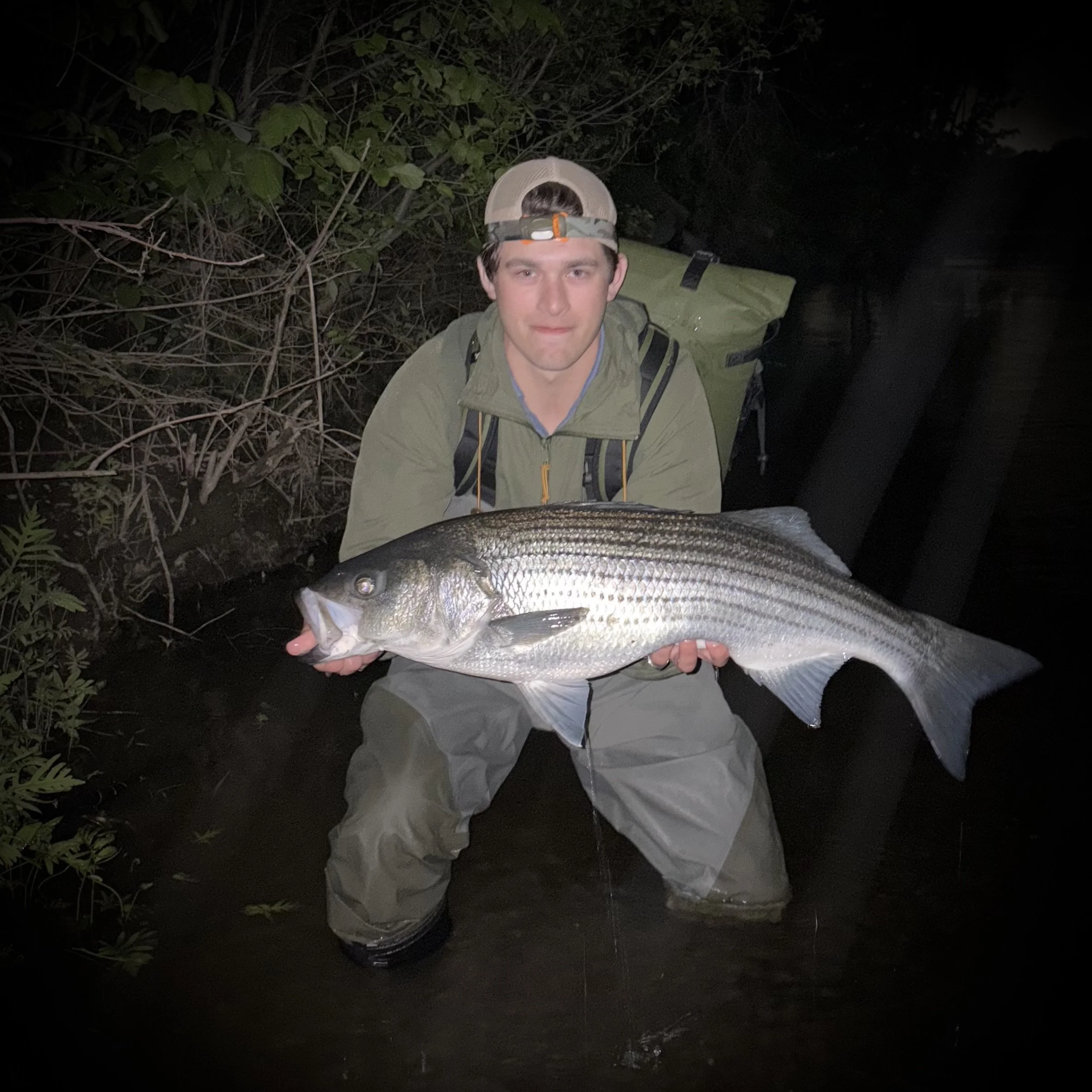 BOOK YOUR TRIP TODAY!