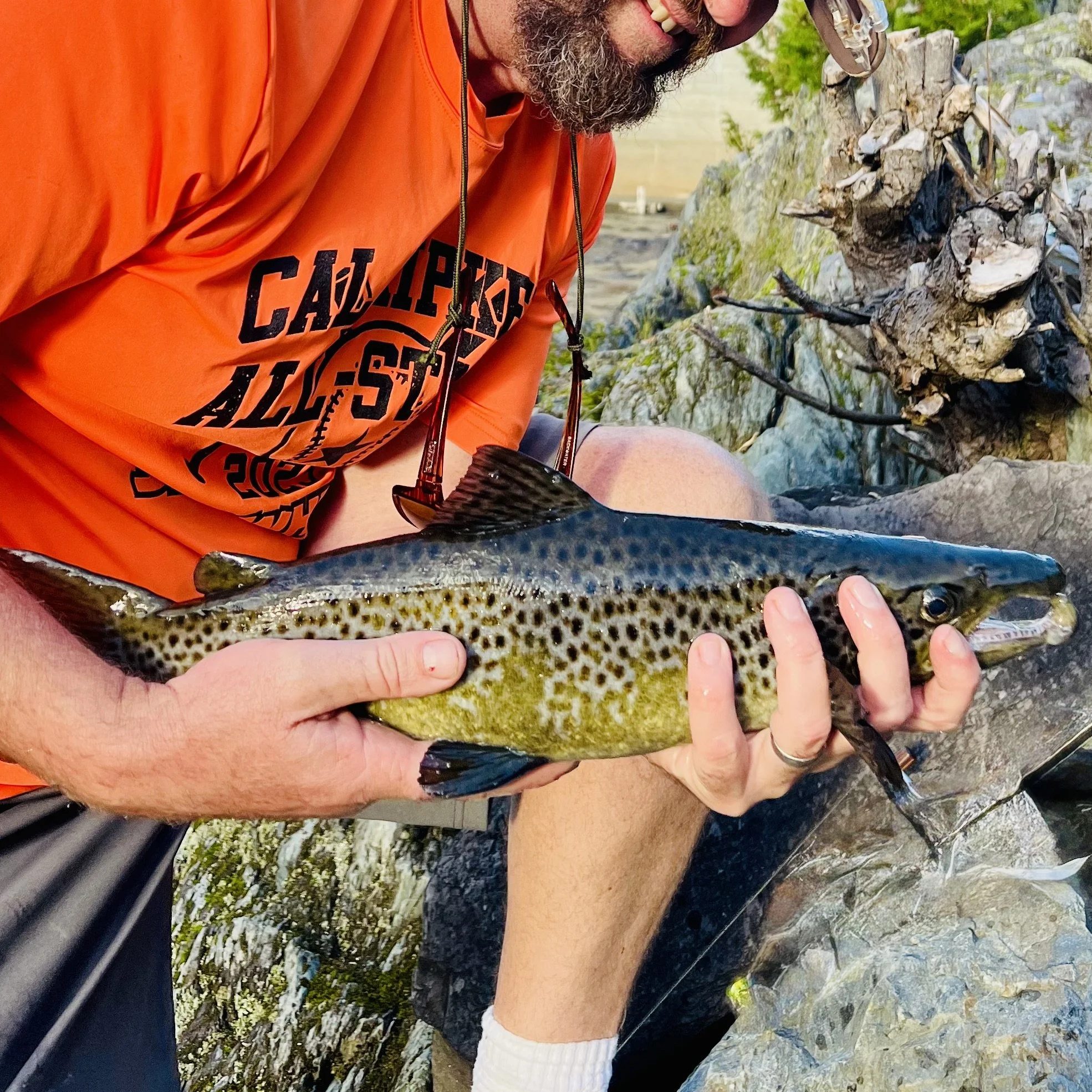 BOOK YOUR TRIP TODAY!