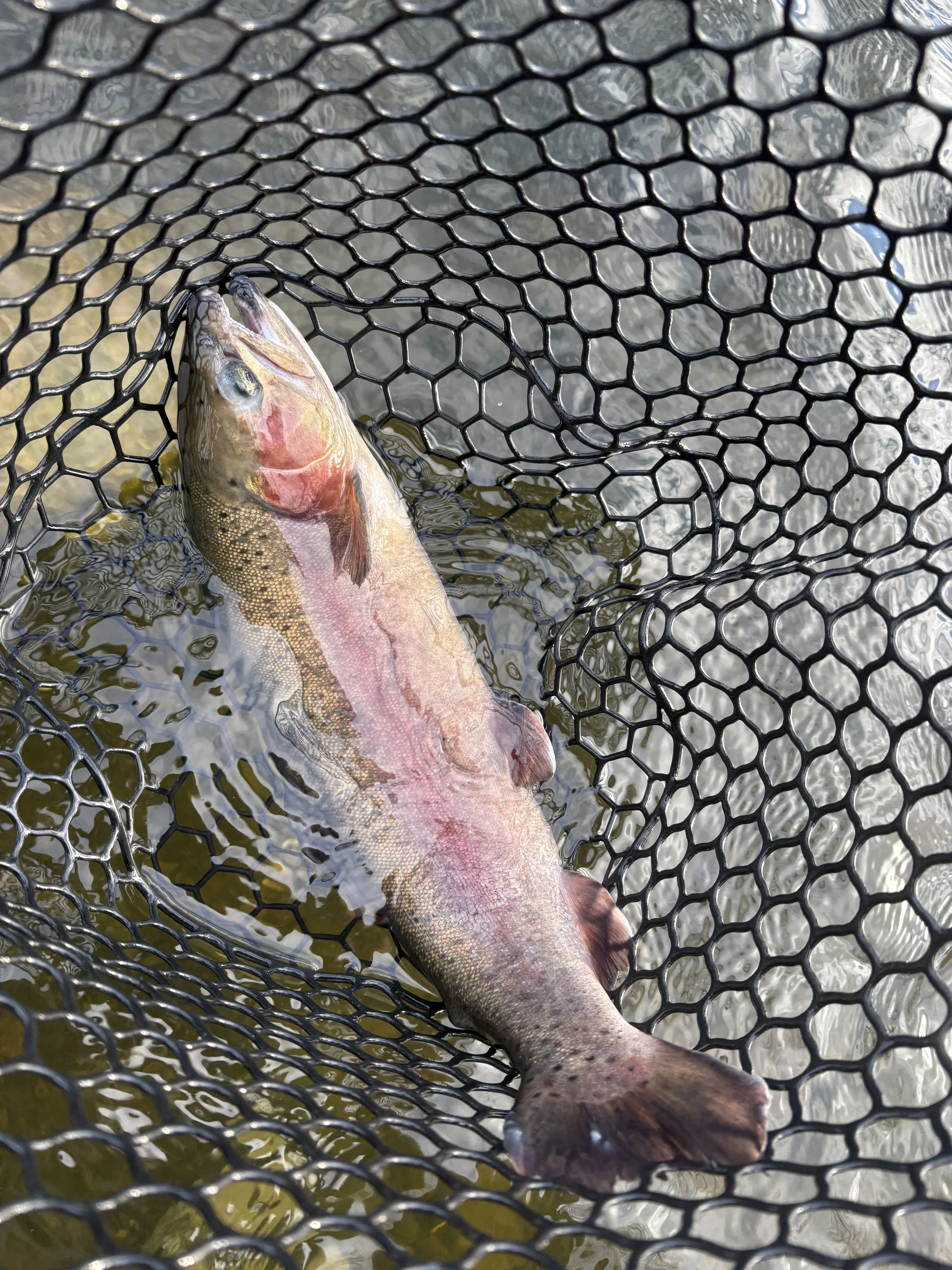 BOOK YOUR TRIP TODAY!