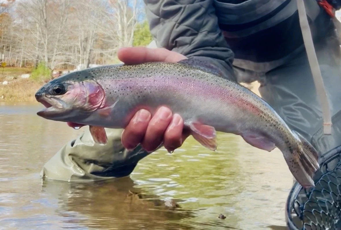 BOOK YOUR TRIP TODAY!