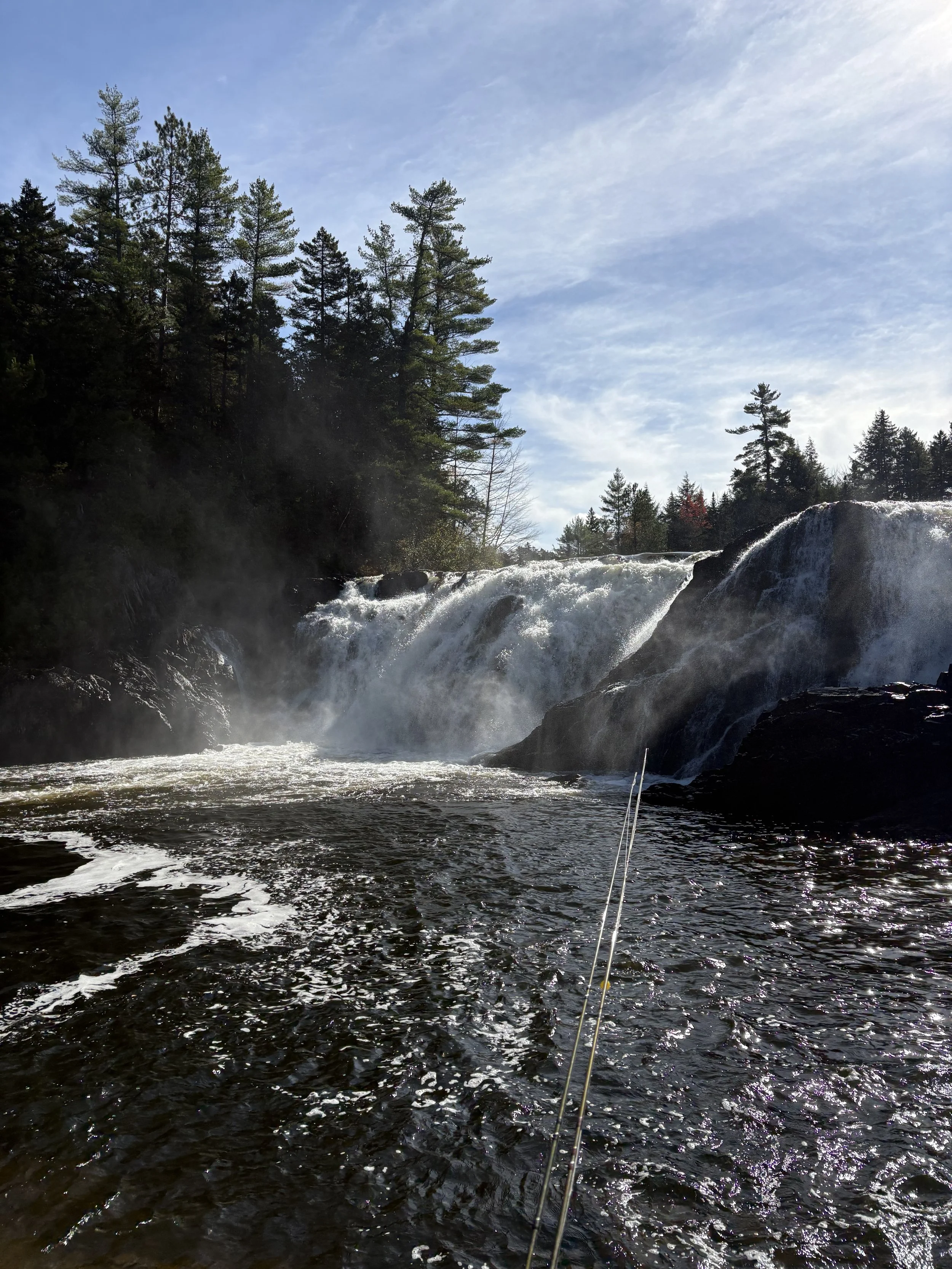 BOOK YOUR TRIP TODAY!