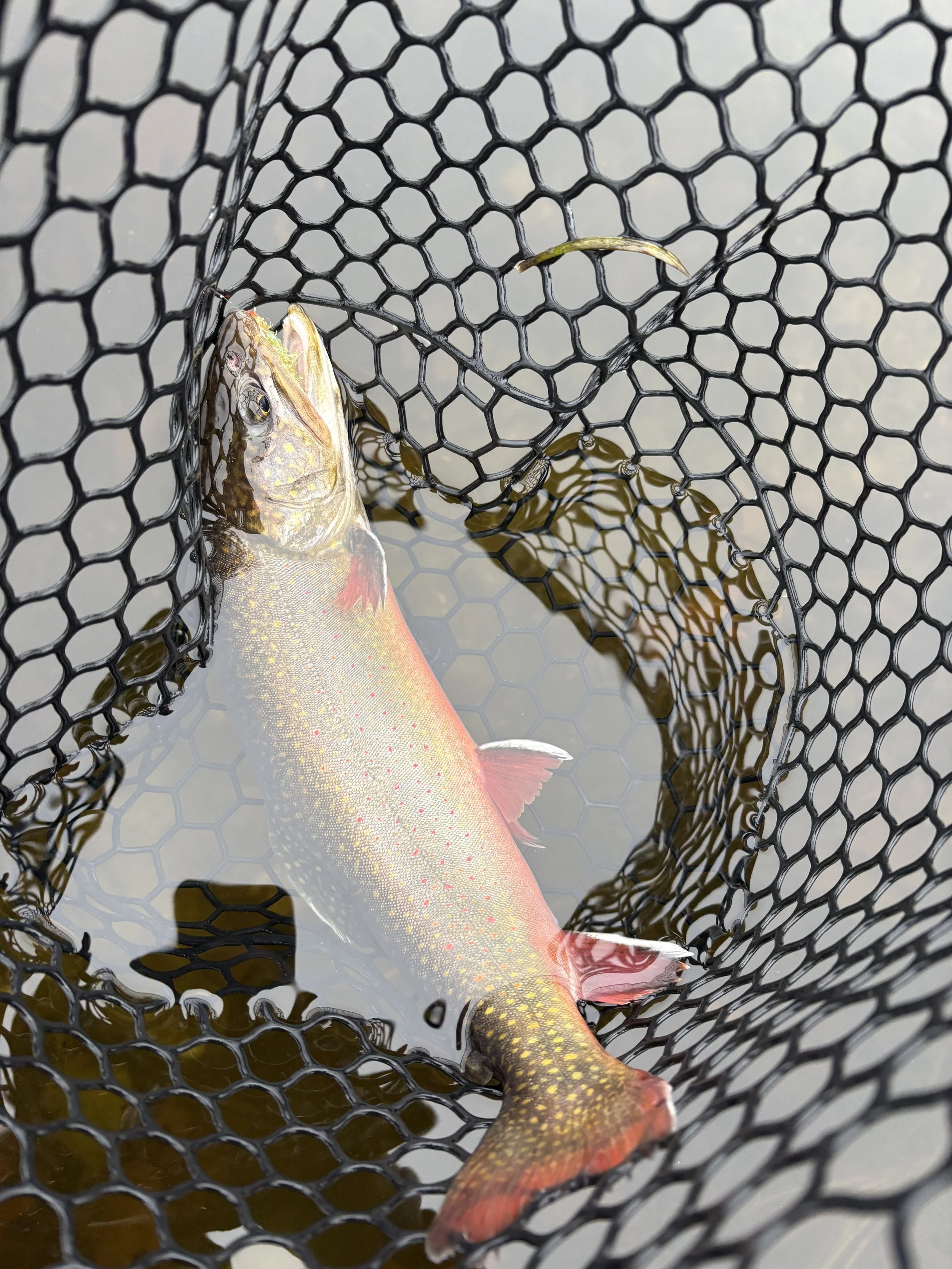 BOOK YOUR TRIP TODAY!