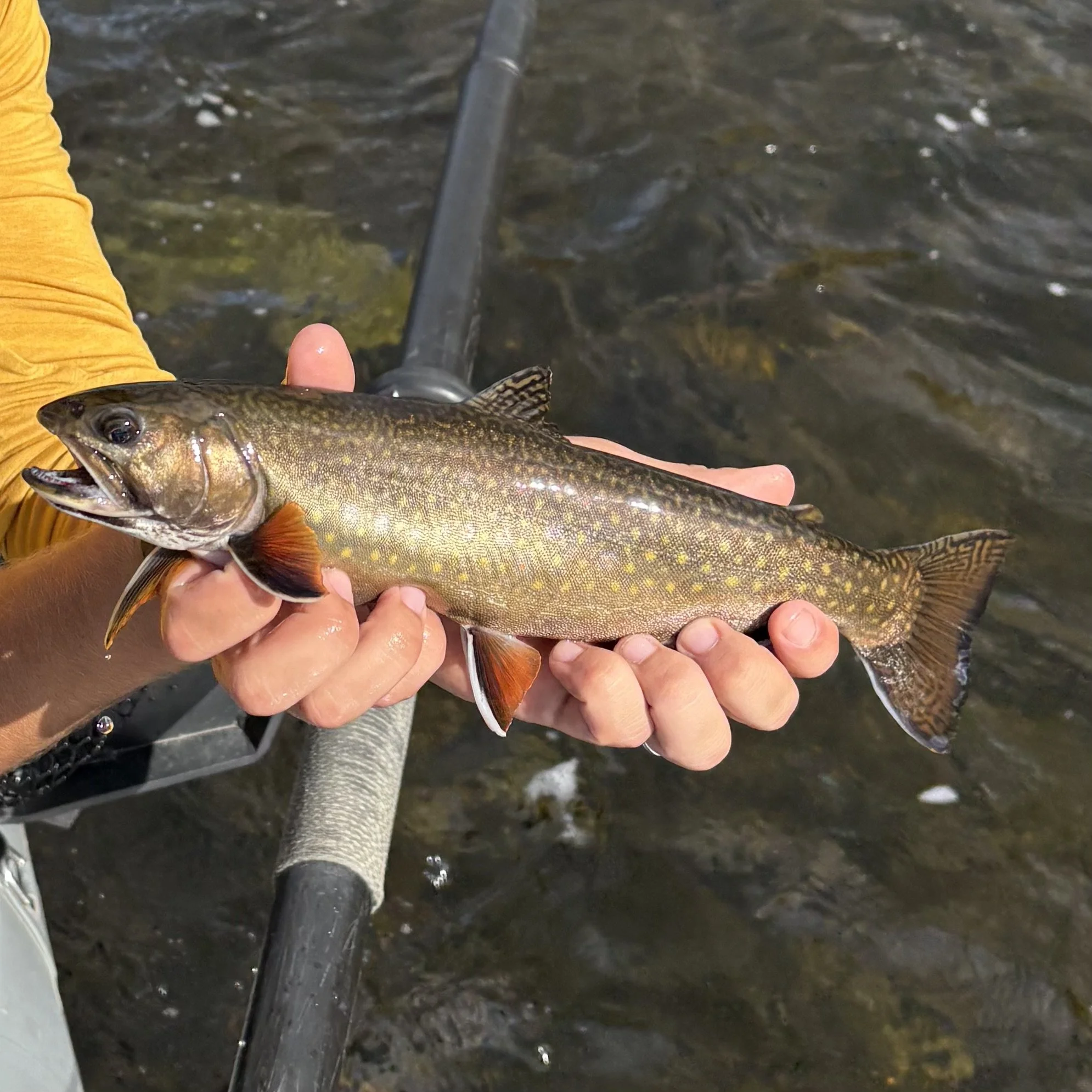 BOOK YOUR TRIP TODAY!