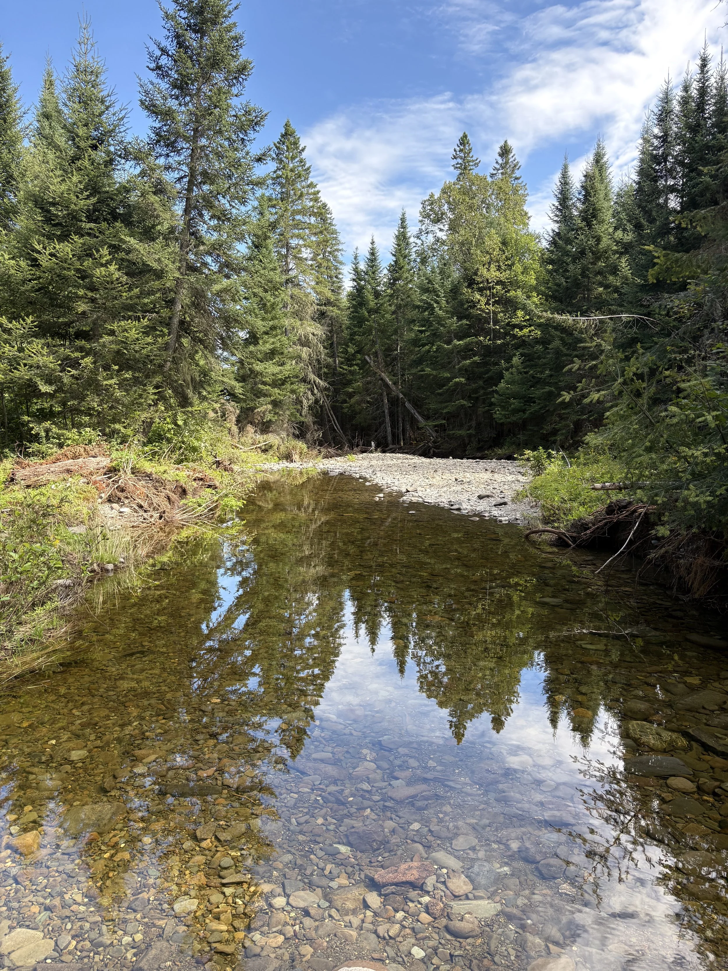 BOOK YOUR TRIP TODAY!