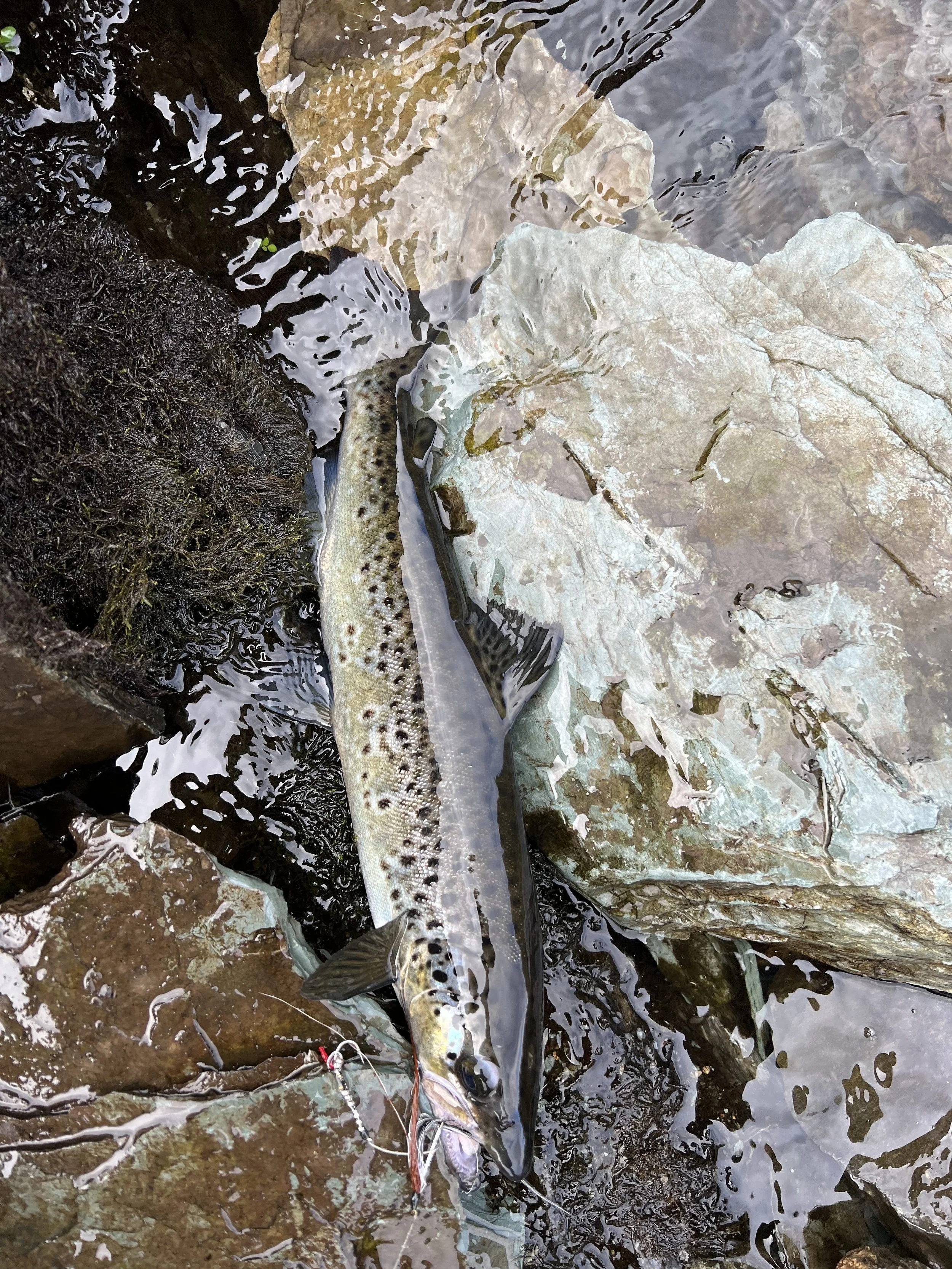 BOOK YOUR TRIP TODAY!