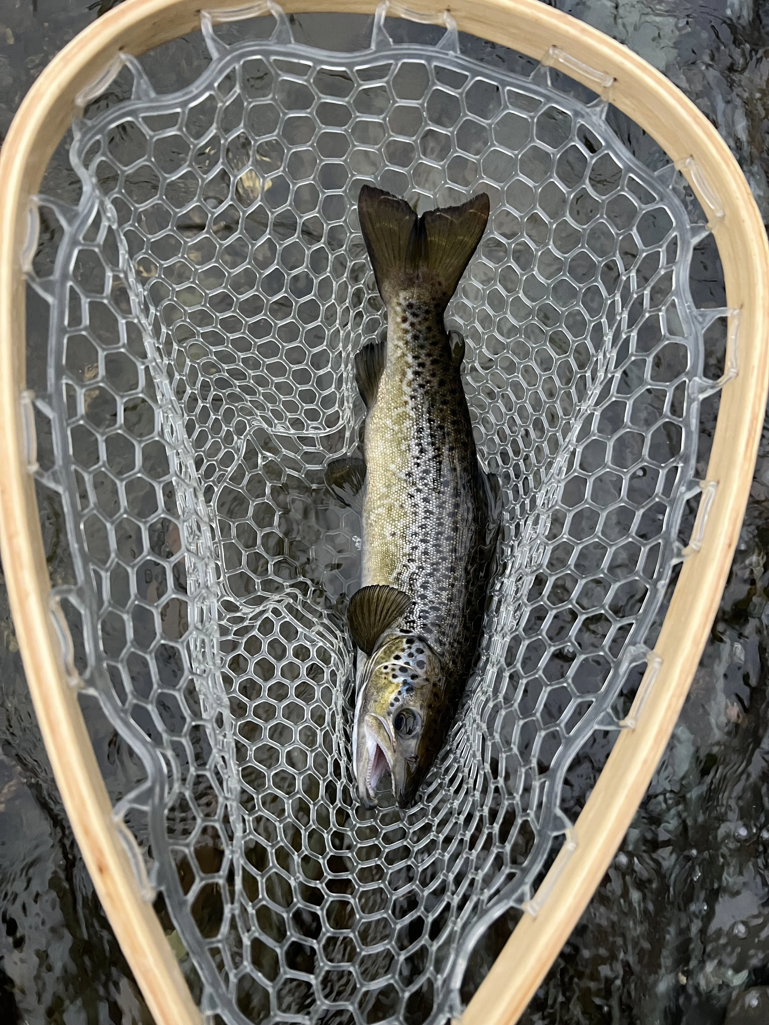 BOOK YOUR TRIP TODAY!