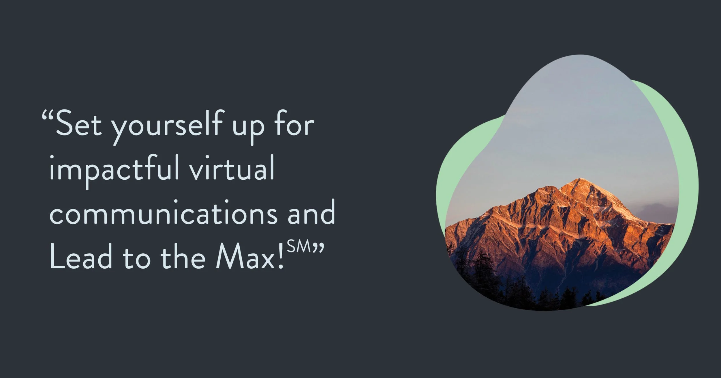 Leading Effective Virtual Calls