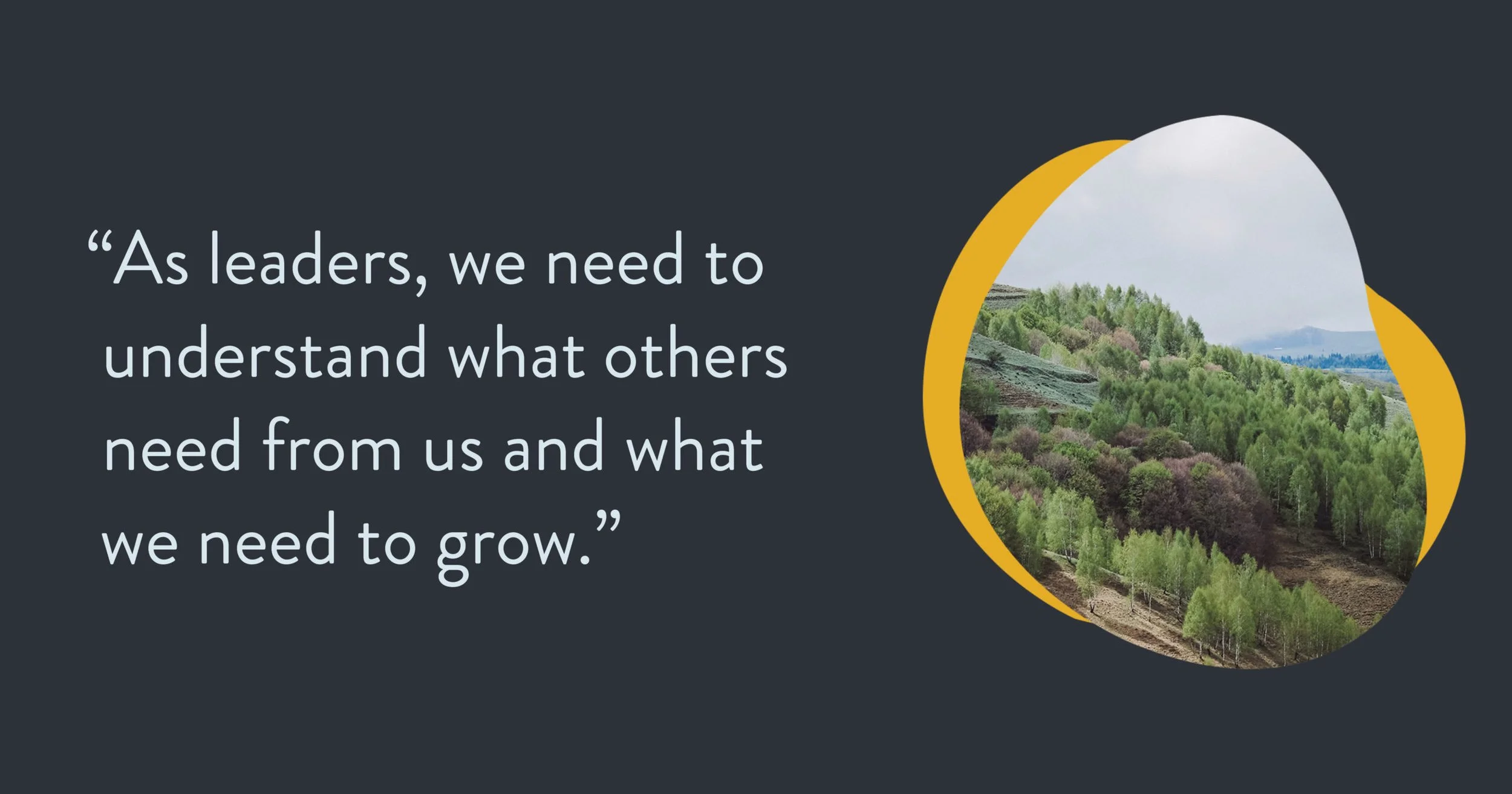 Consulting, Mentoring, Coaching: What’s the Difference?
