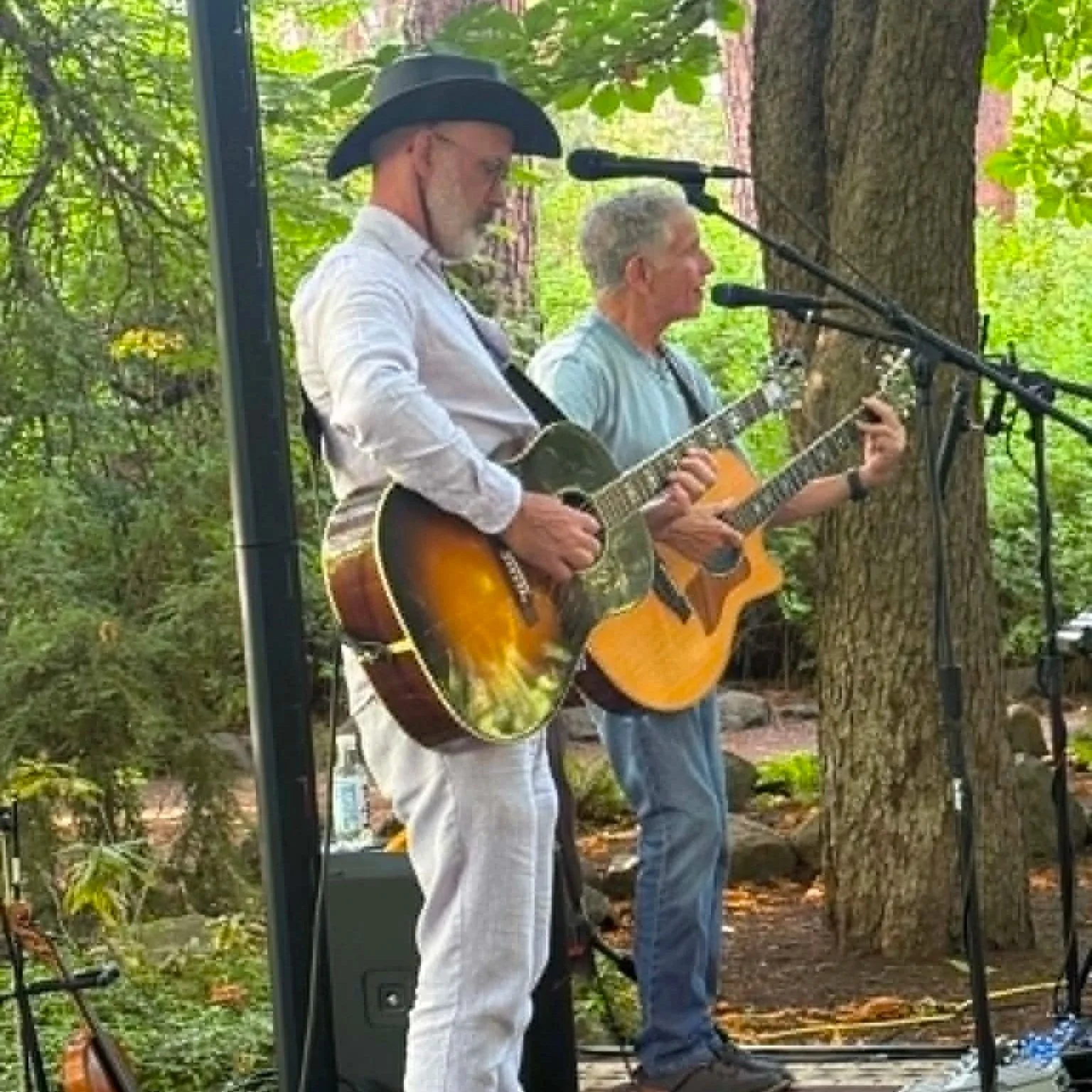 Under the Trees Concert Series