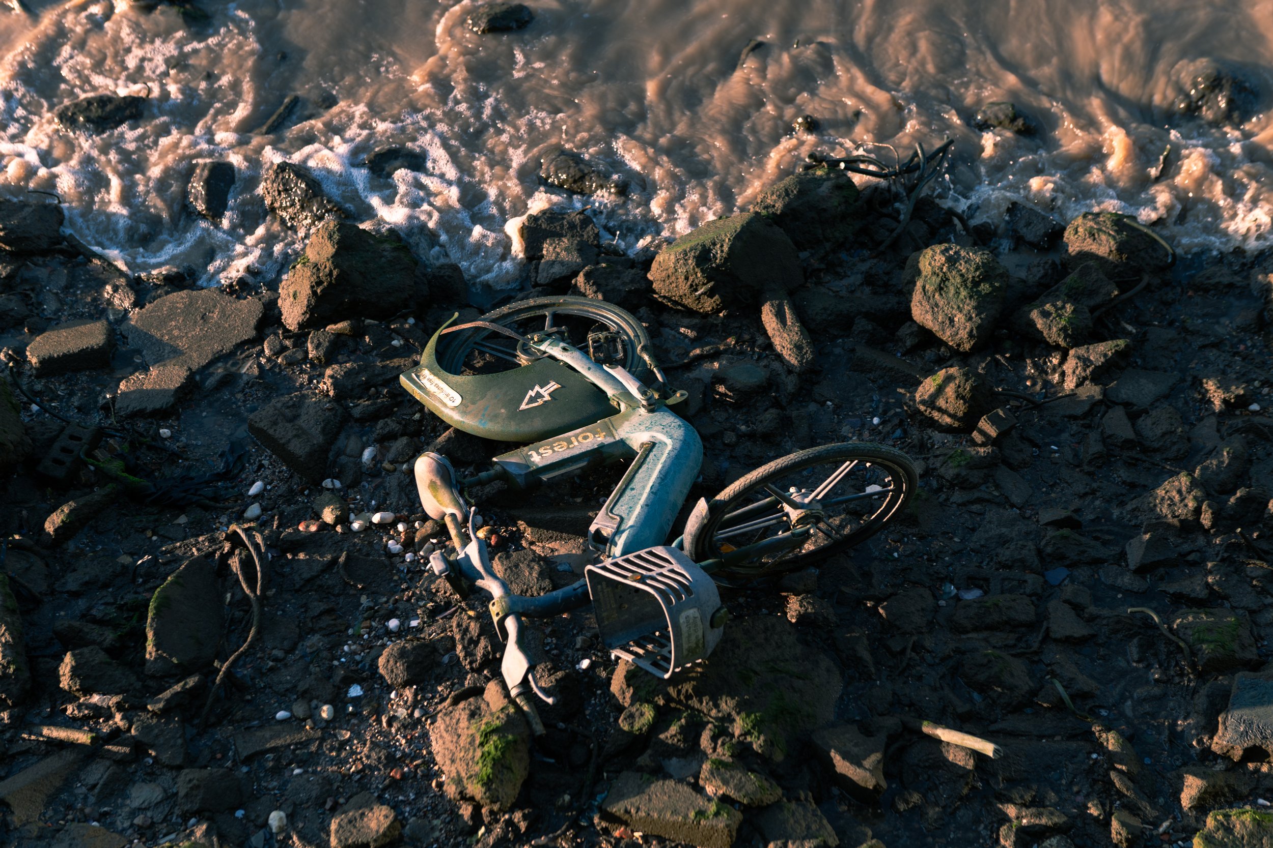 Wasteland.jpg