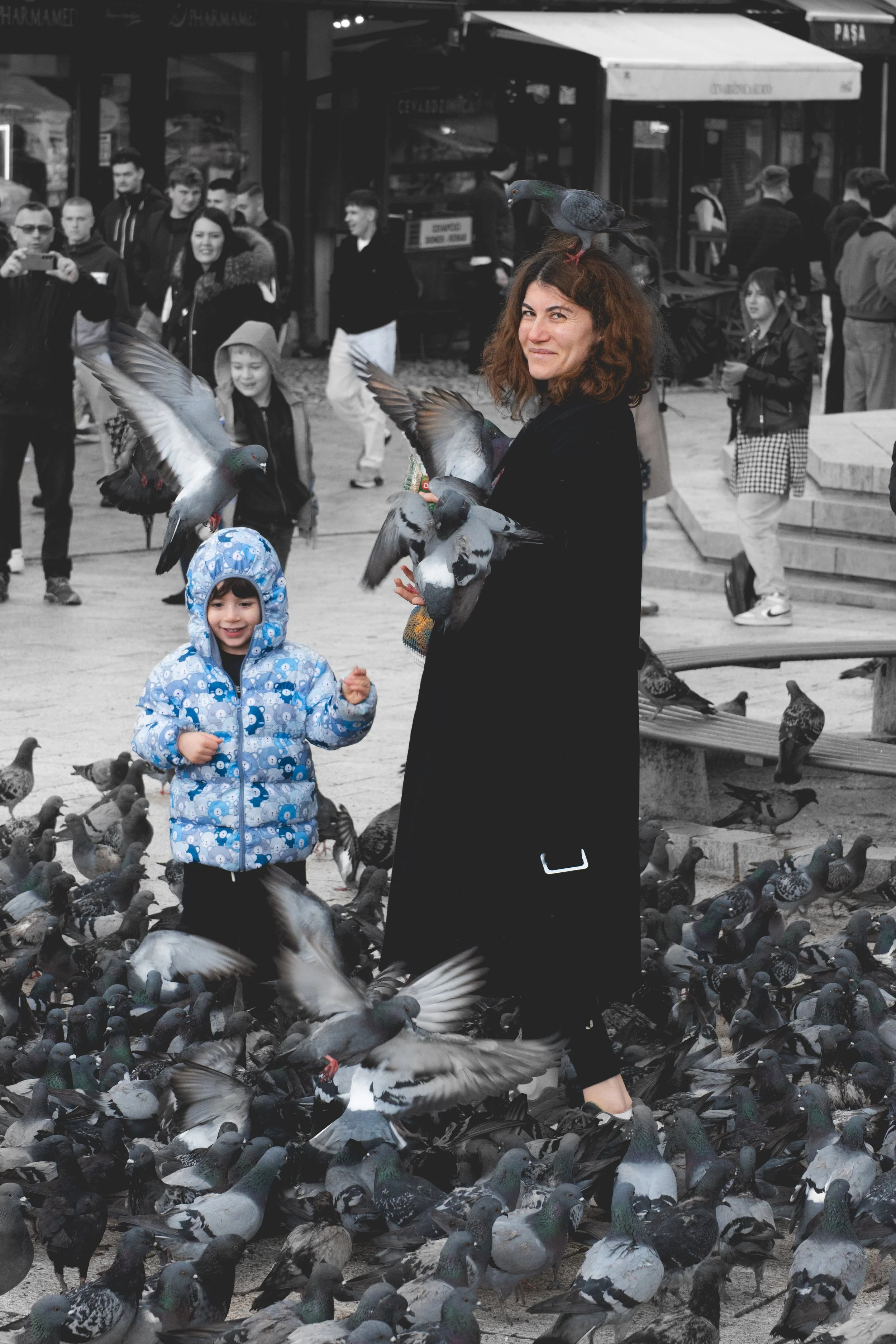 birdfeed.jpg