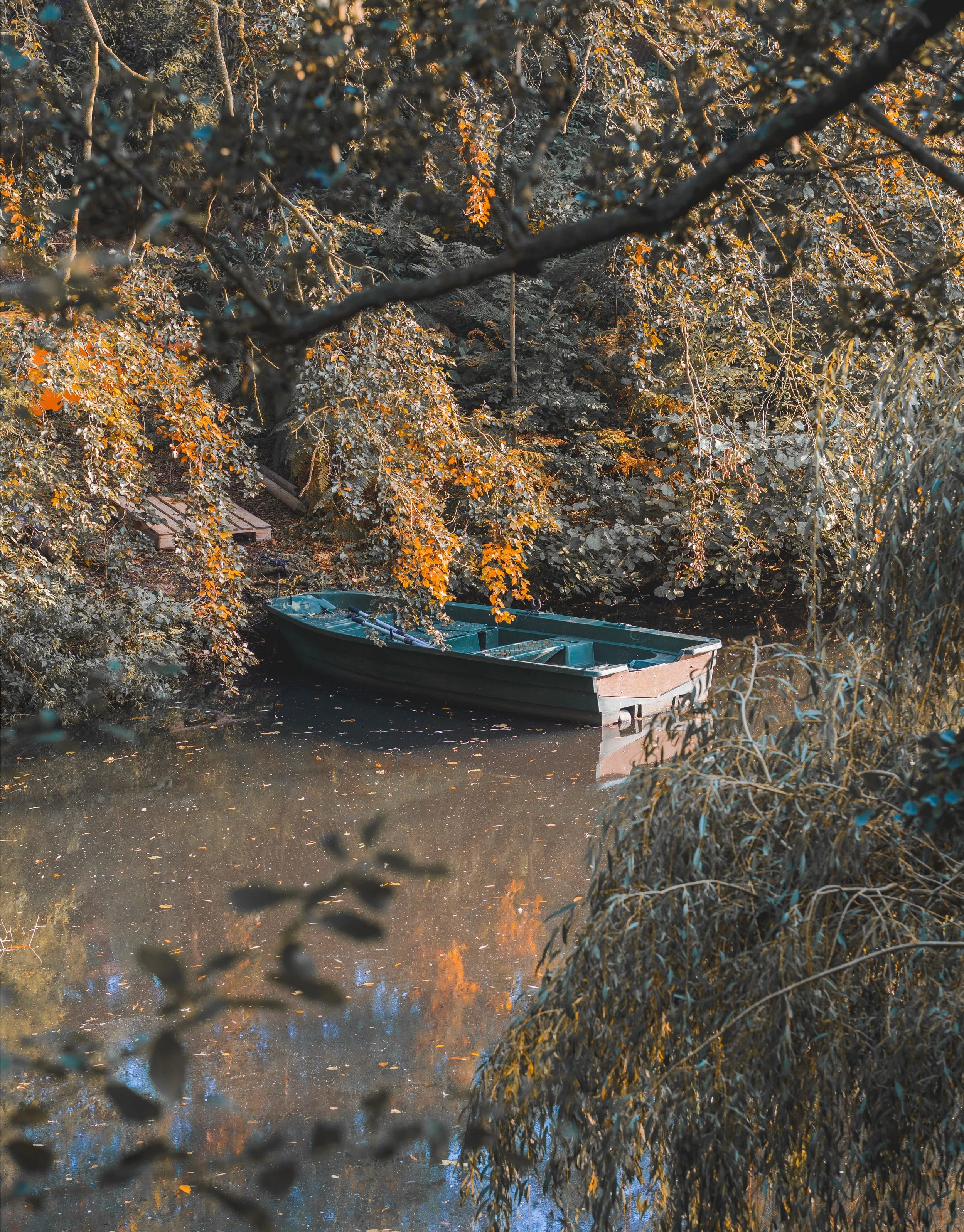 Autumn Boat-1.jpg