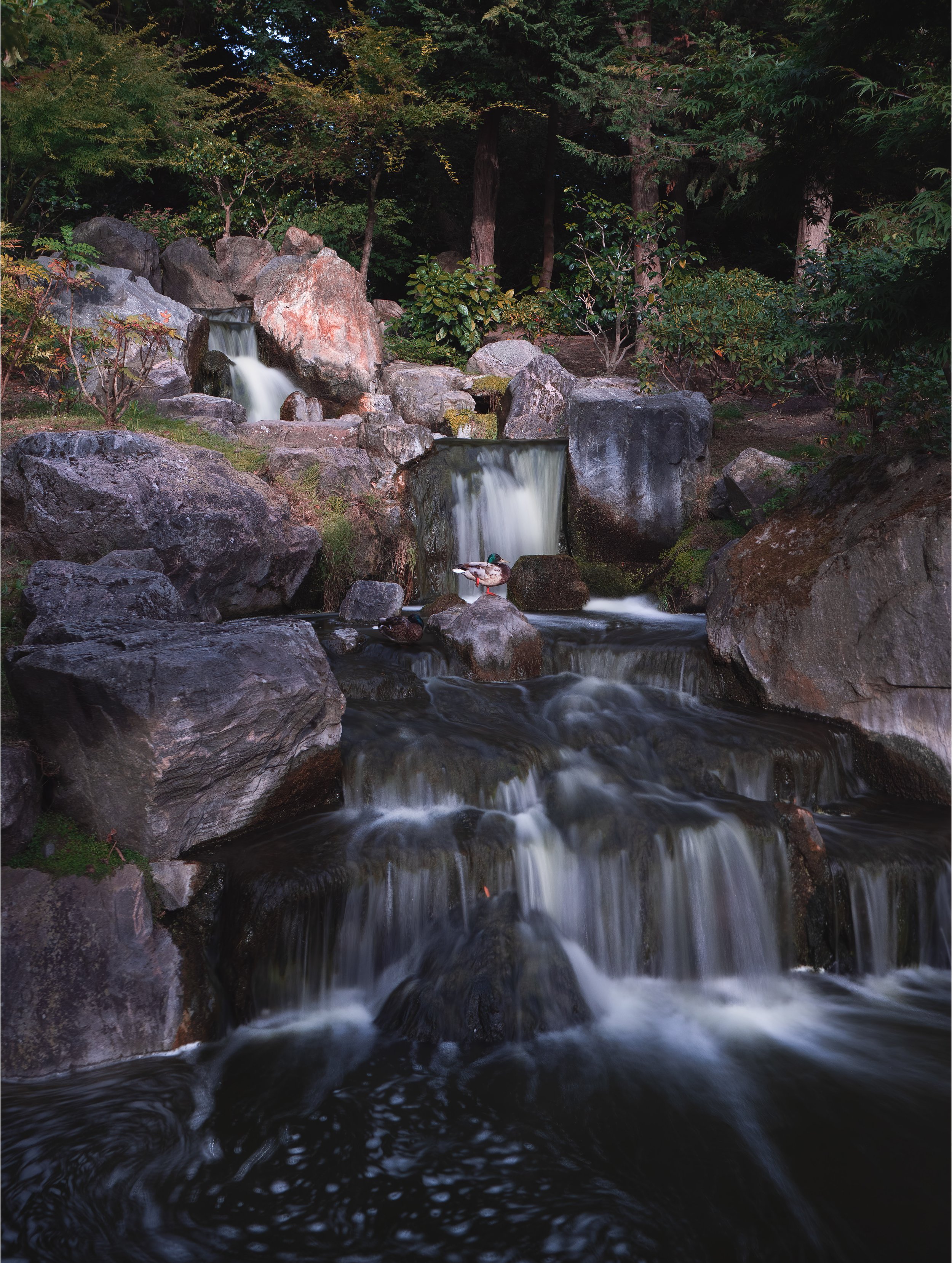 holland park.jpg