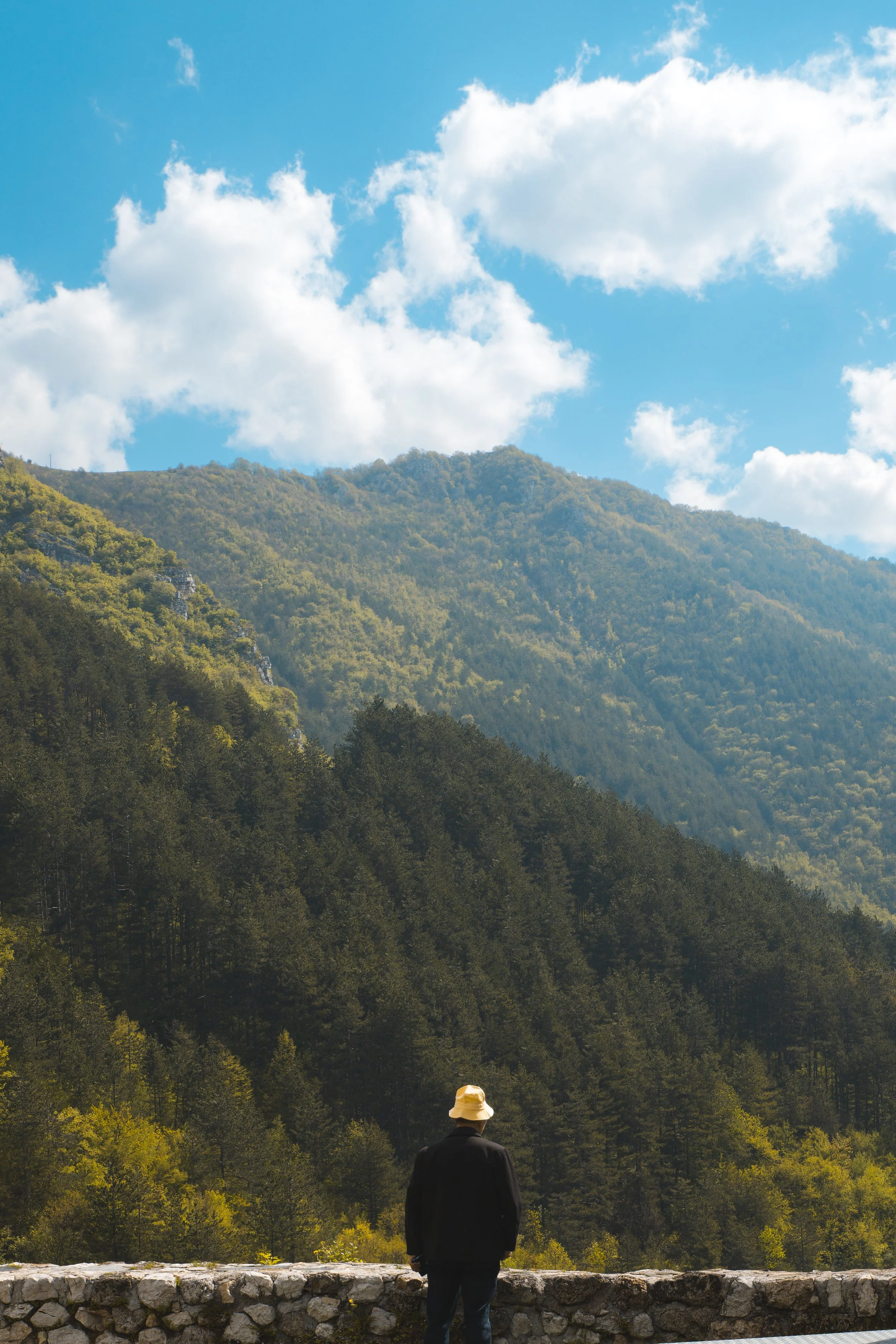 The mountain's edge.jpg