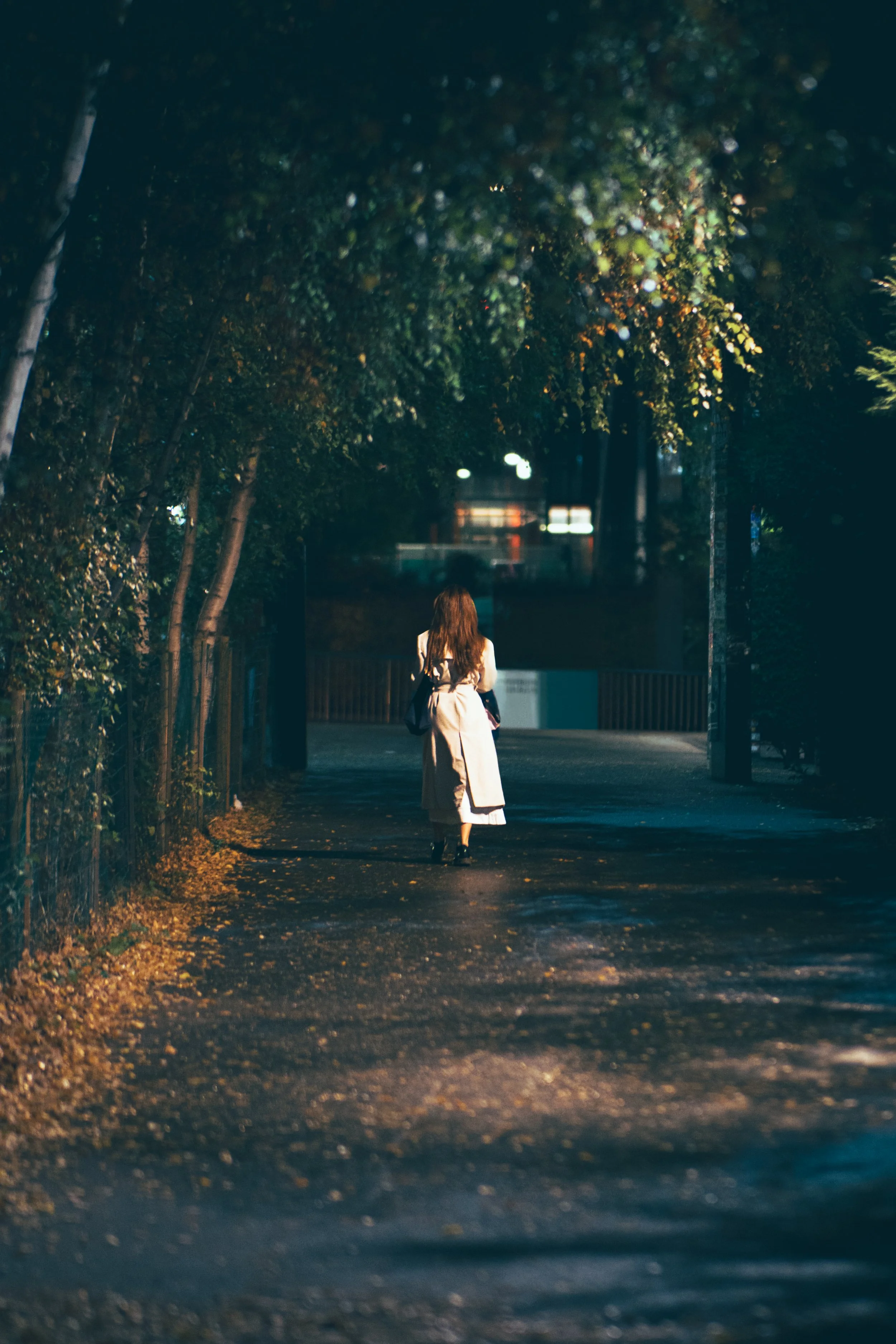 Night walk.jpg
