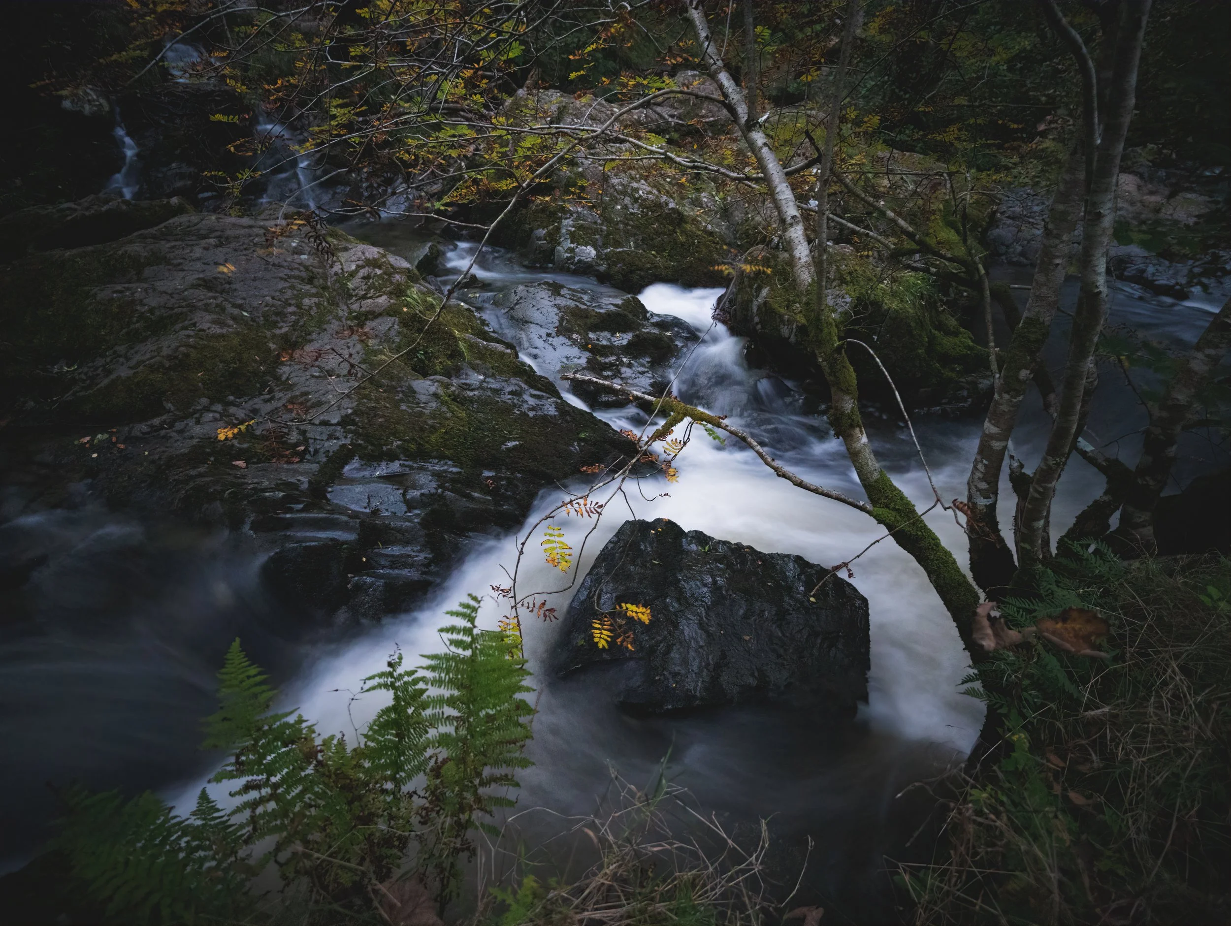 Stream.jpg