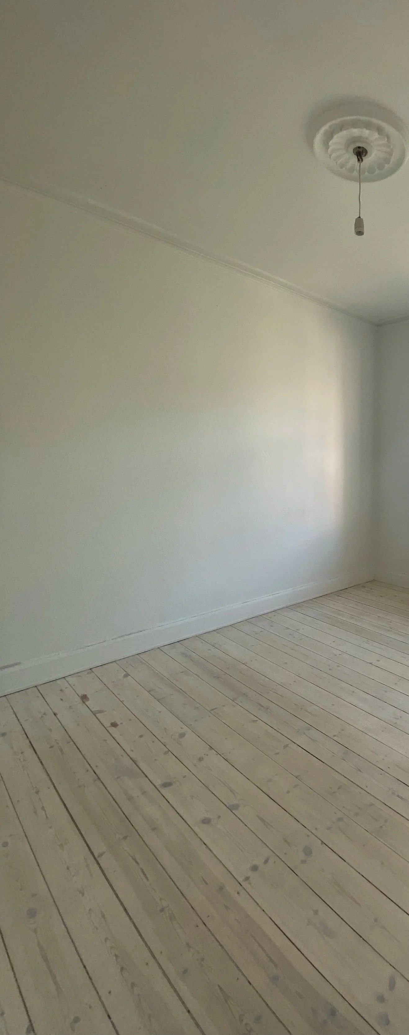 Empty room with white walls, light wood flooring, and a ceiling with a wire hanging from a decorative ceiling medallion.