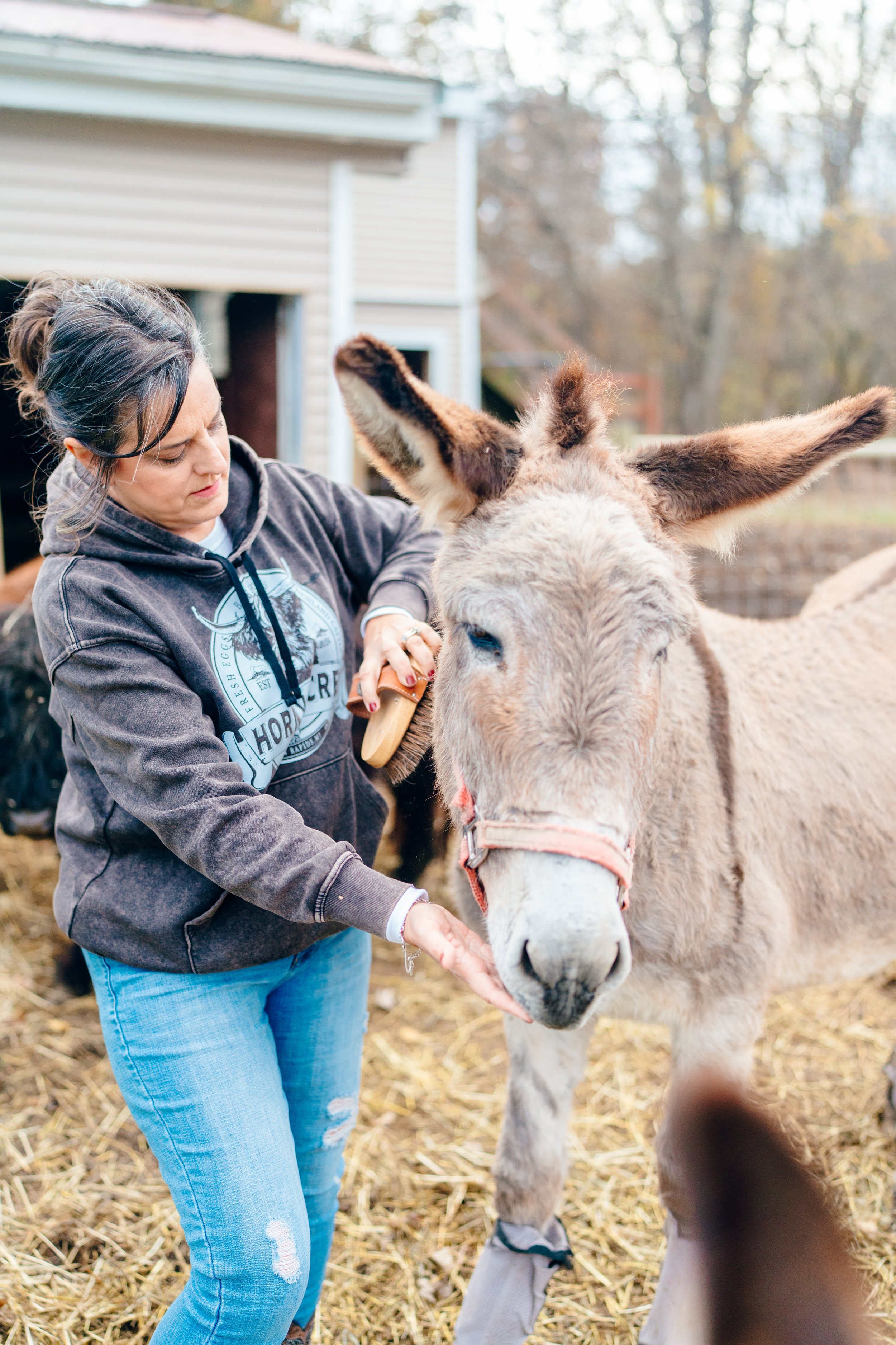 A woman brushing and petting a donkey in a farmyard with straw on the ground.